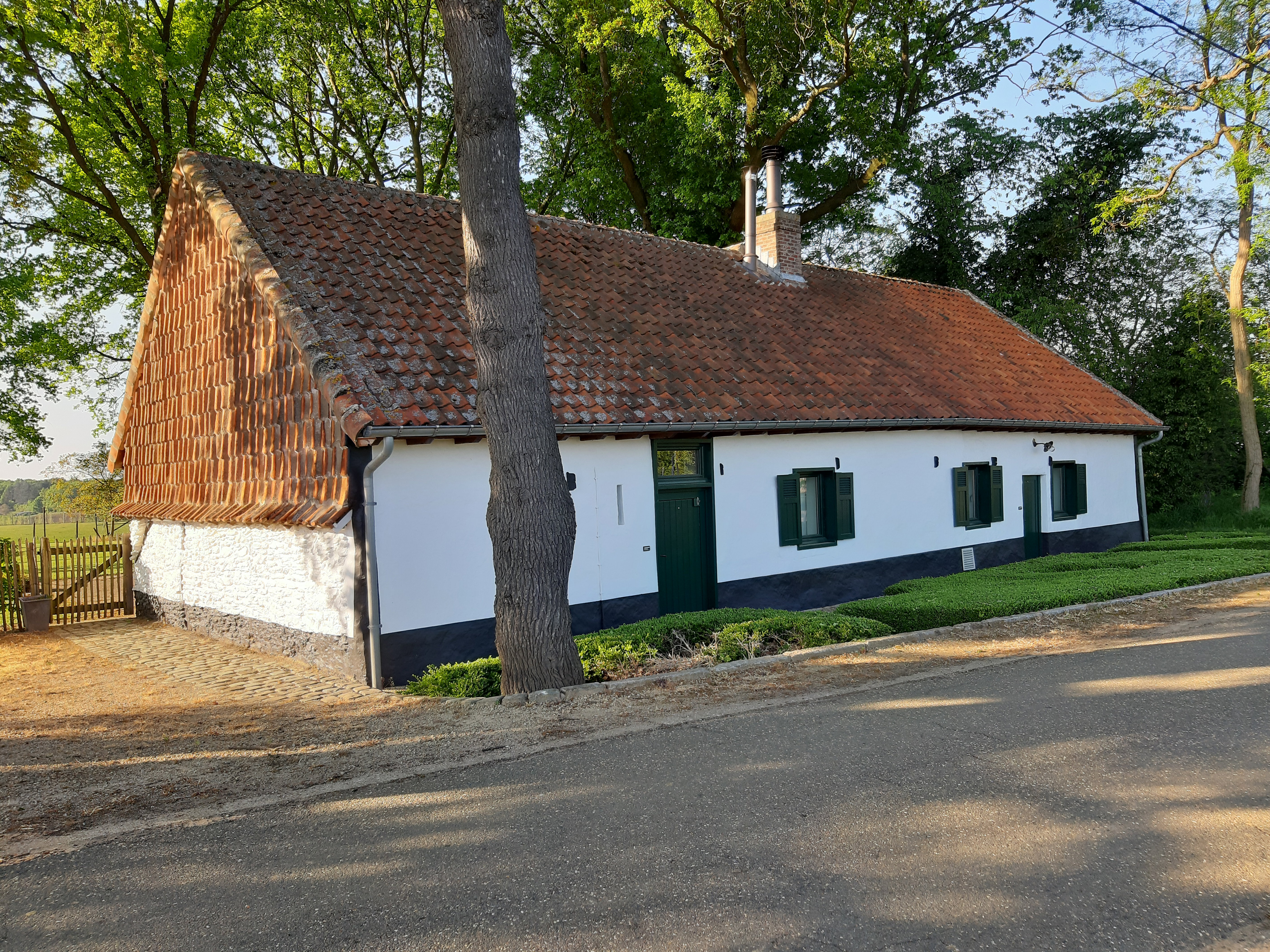 - image: 25