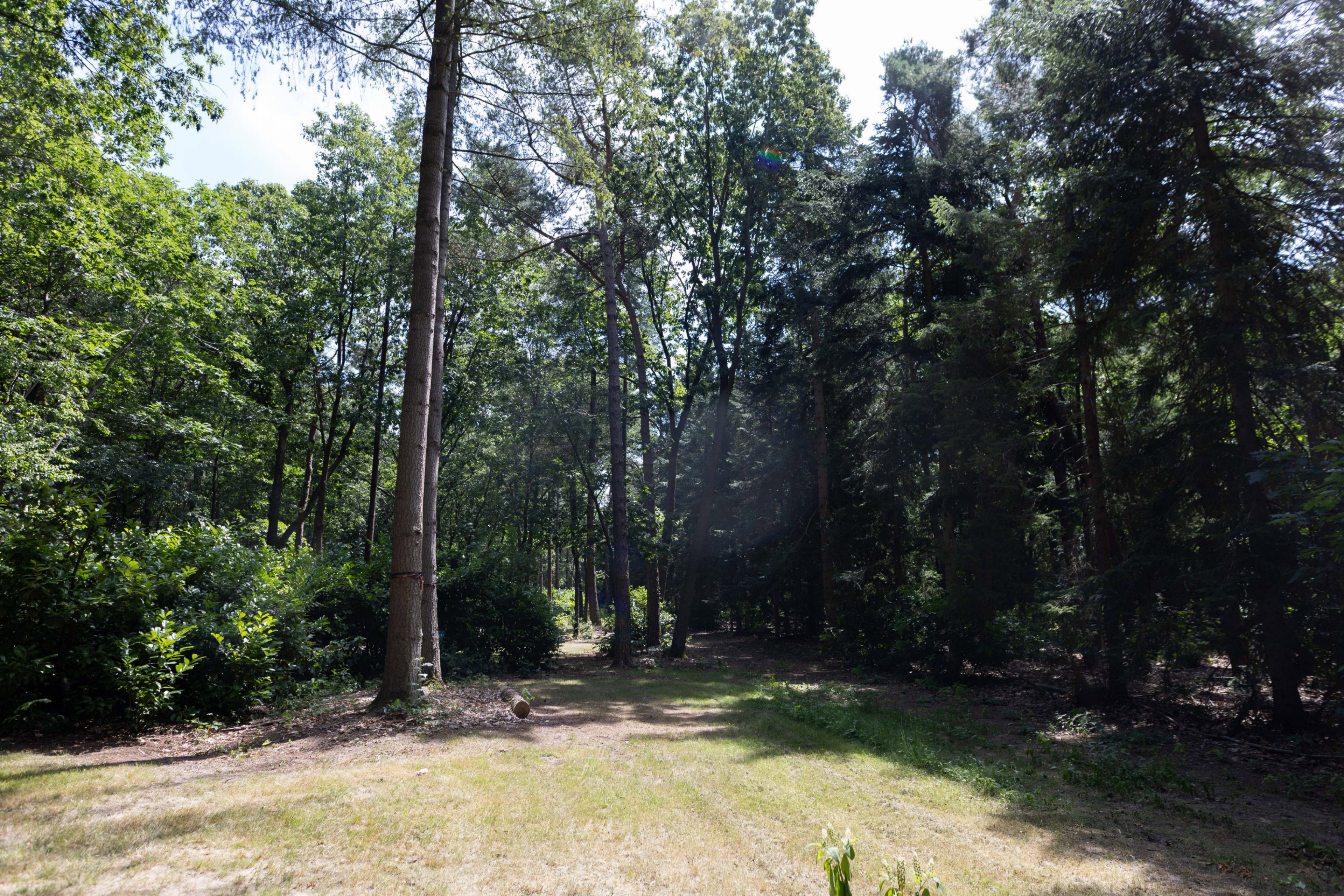Casa nella natura a Voorthuizen