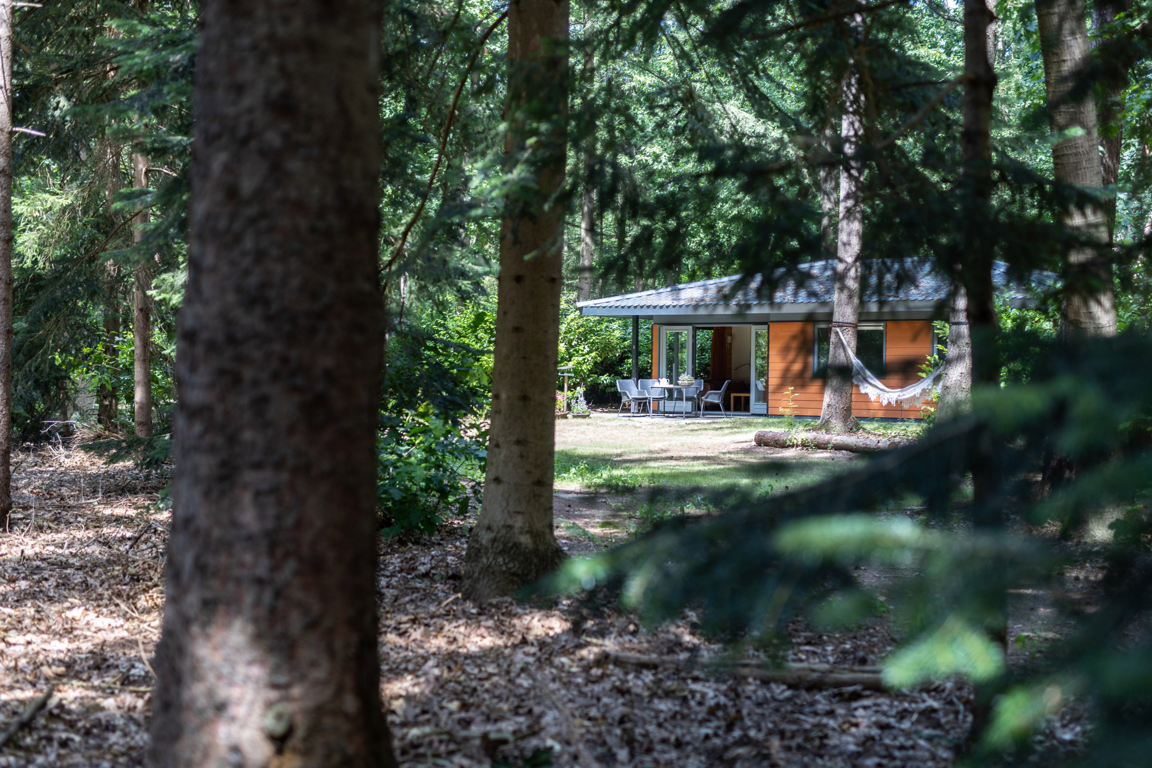 Casa nella natura a Voorthuizen