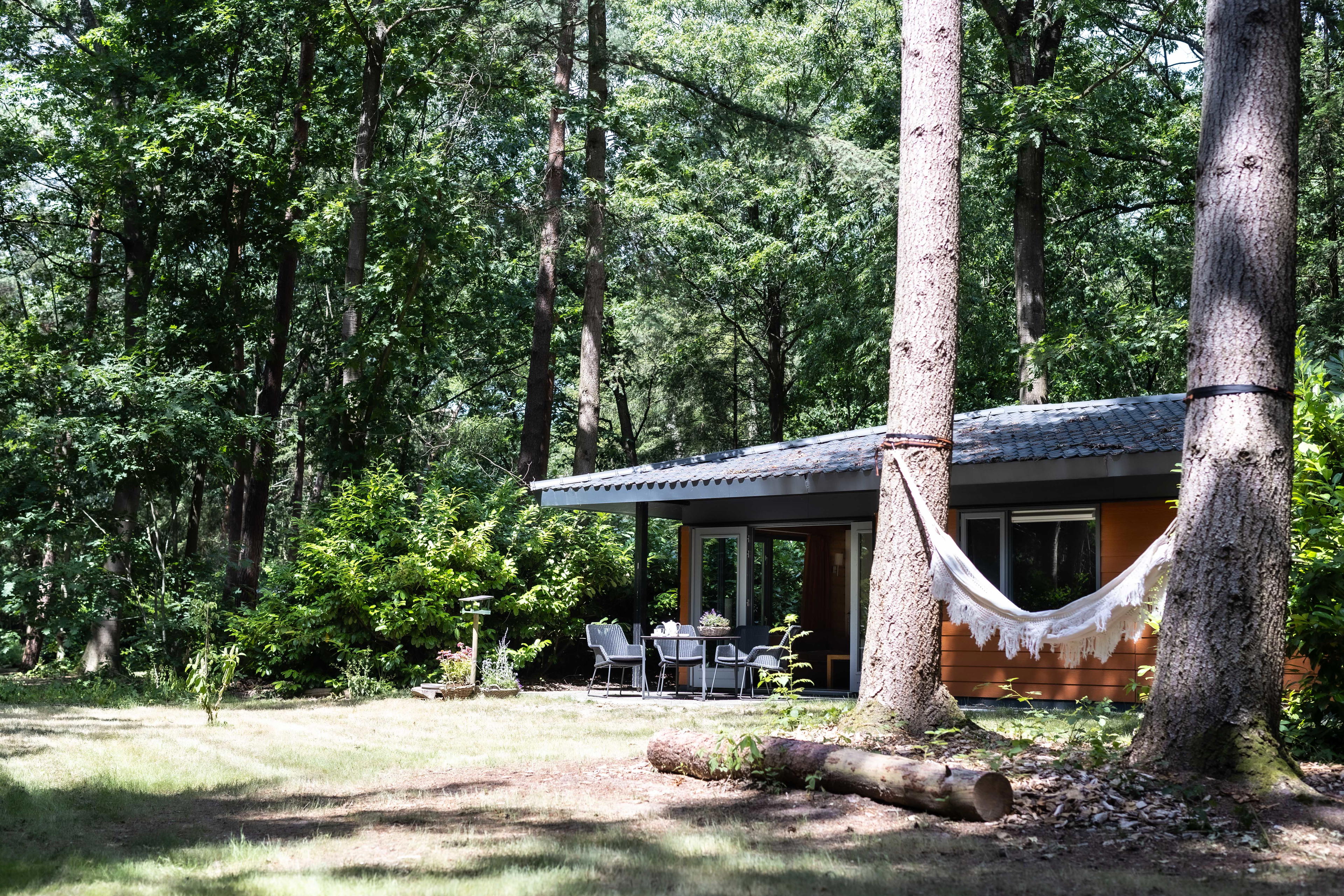 Natuurhuisje in Voorthuizen