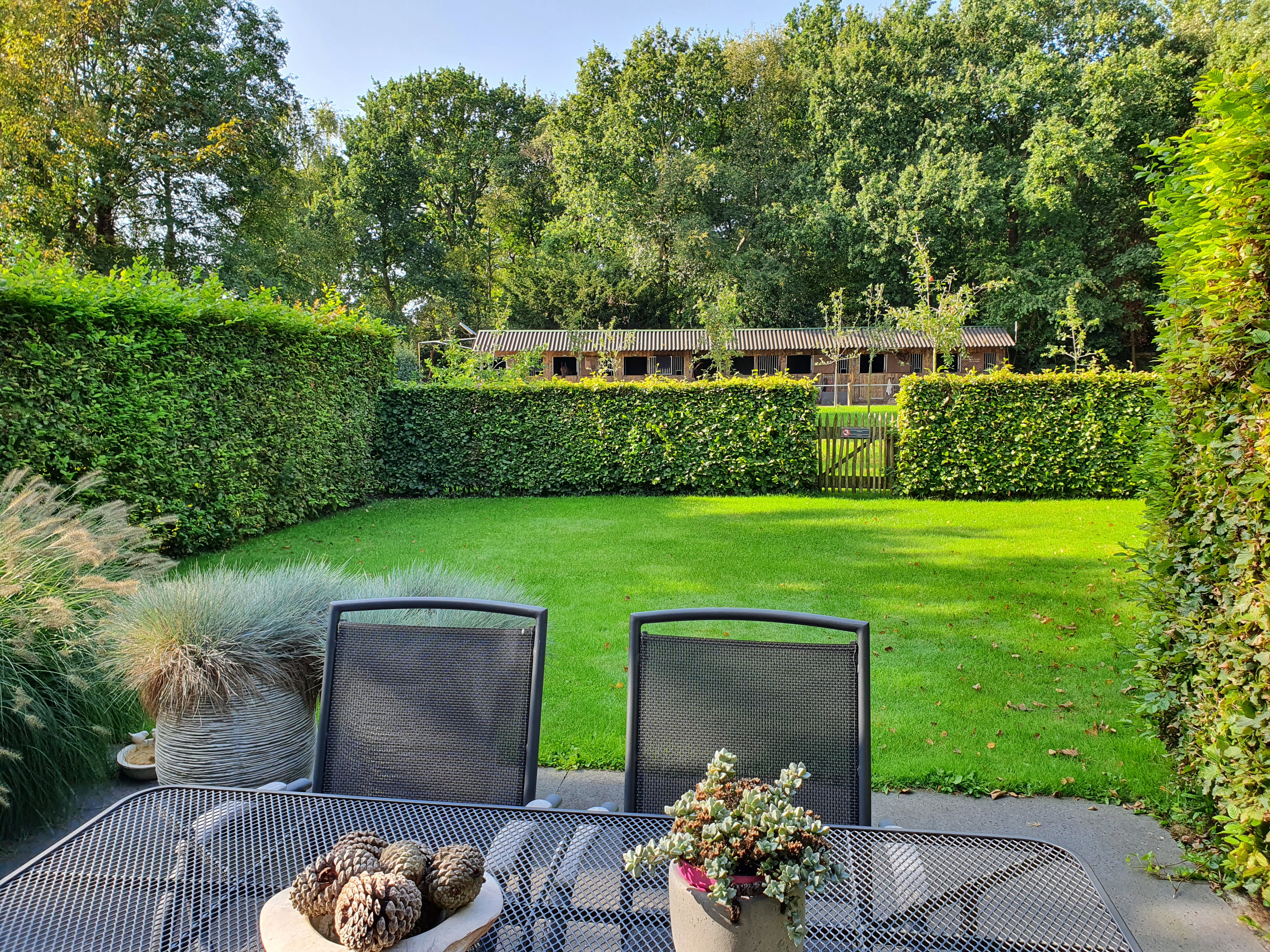 Natuurhuisje in Schoorl
