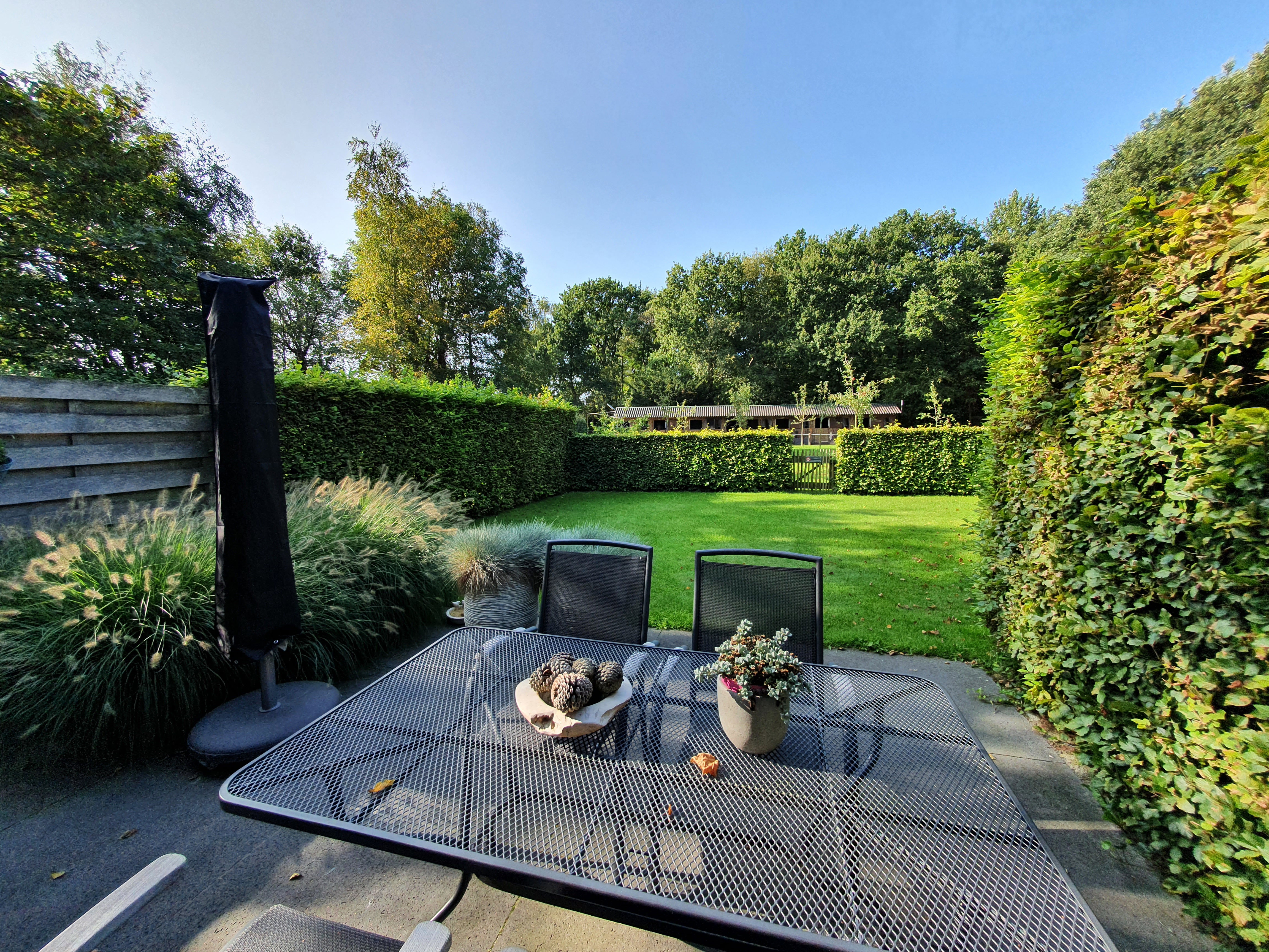 Natuurhuisje in Schoorl