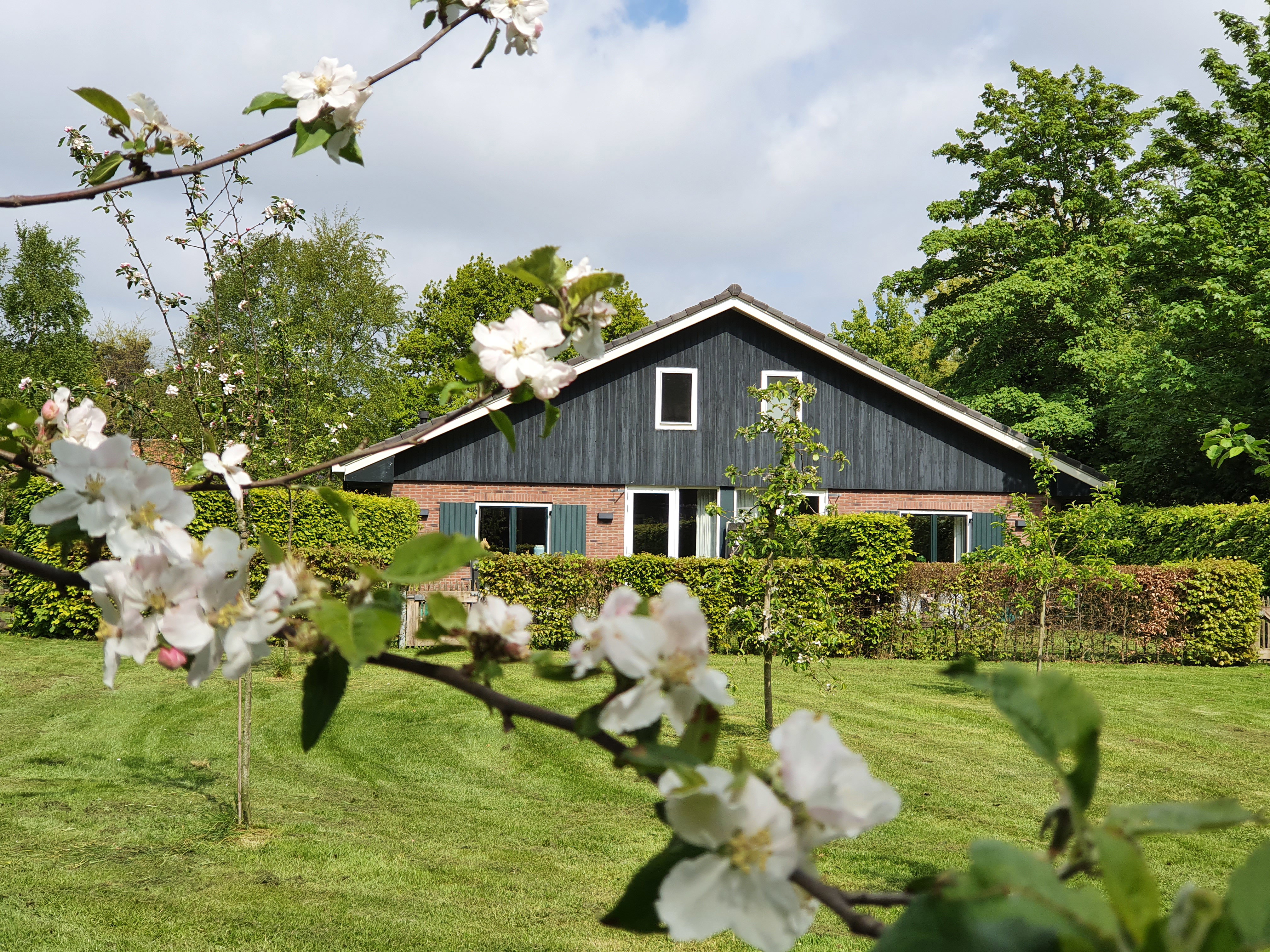 Maison nature à Schoorl