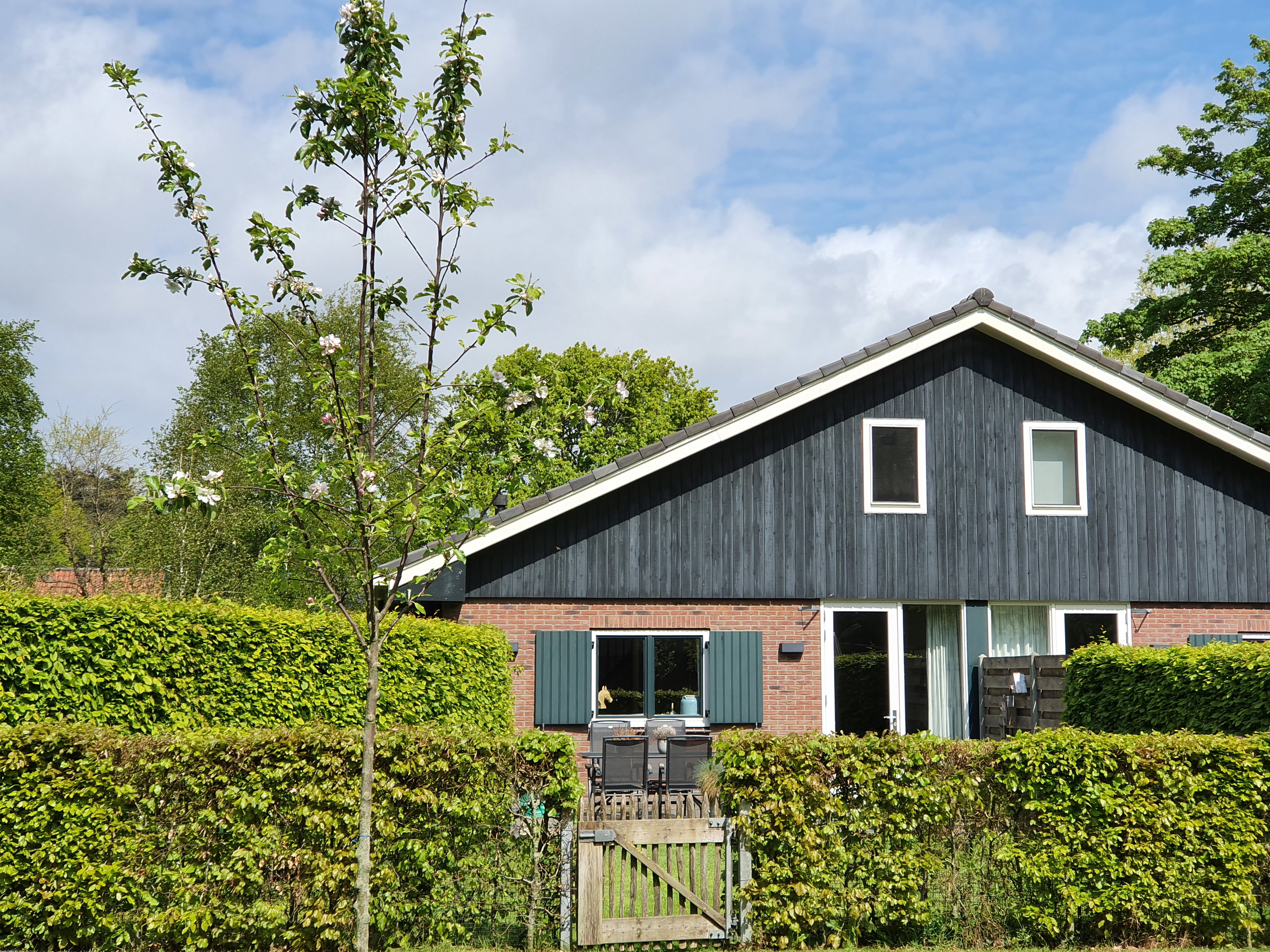 Maison nature à Schoorl