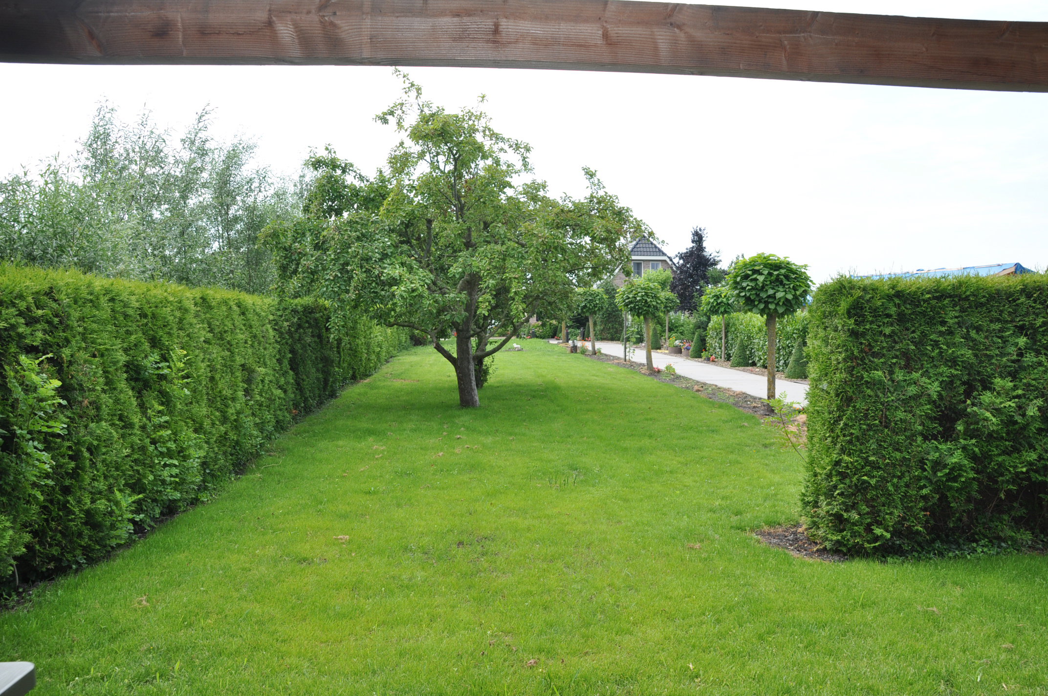 - image: 11