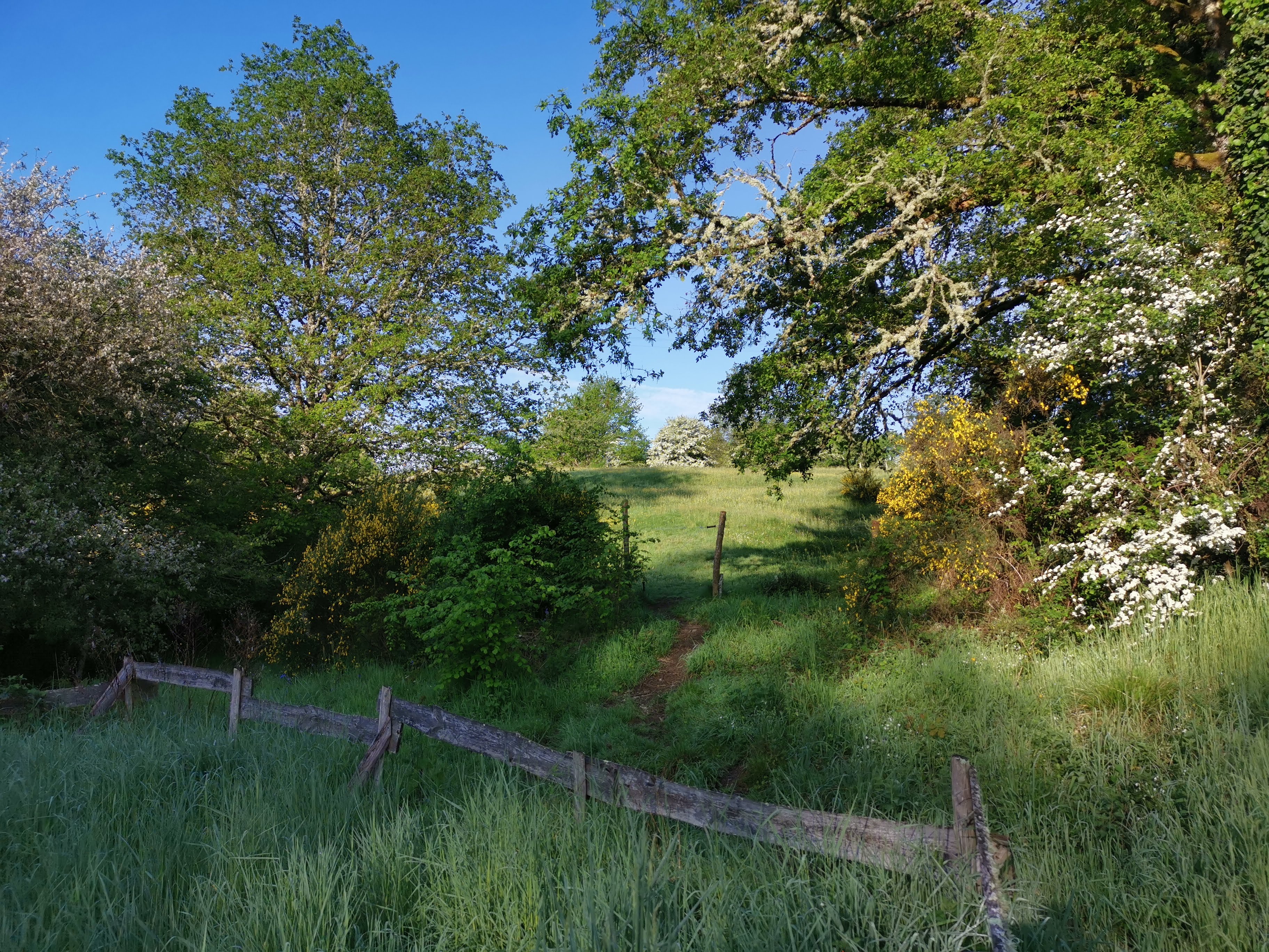 Maison nature à PENSOL