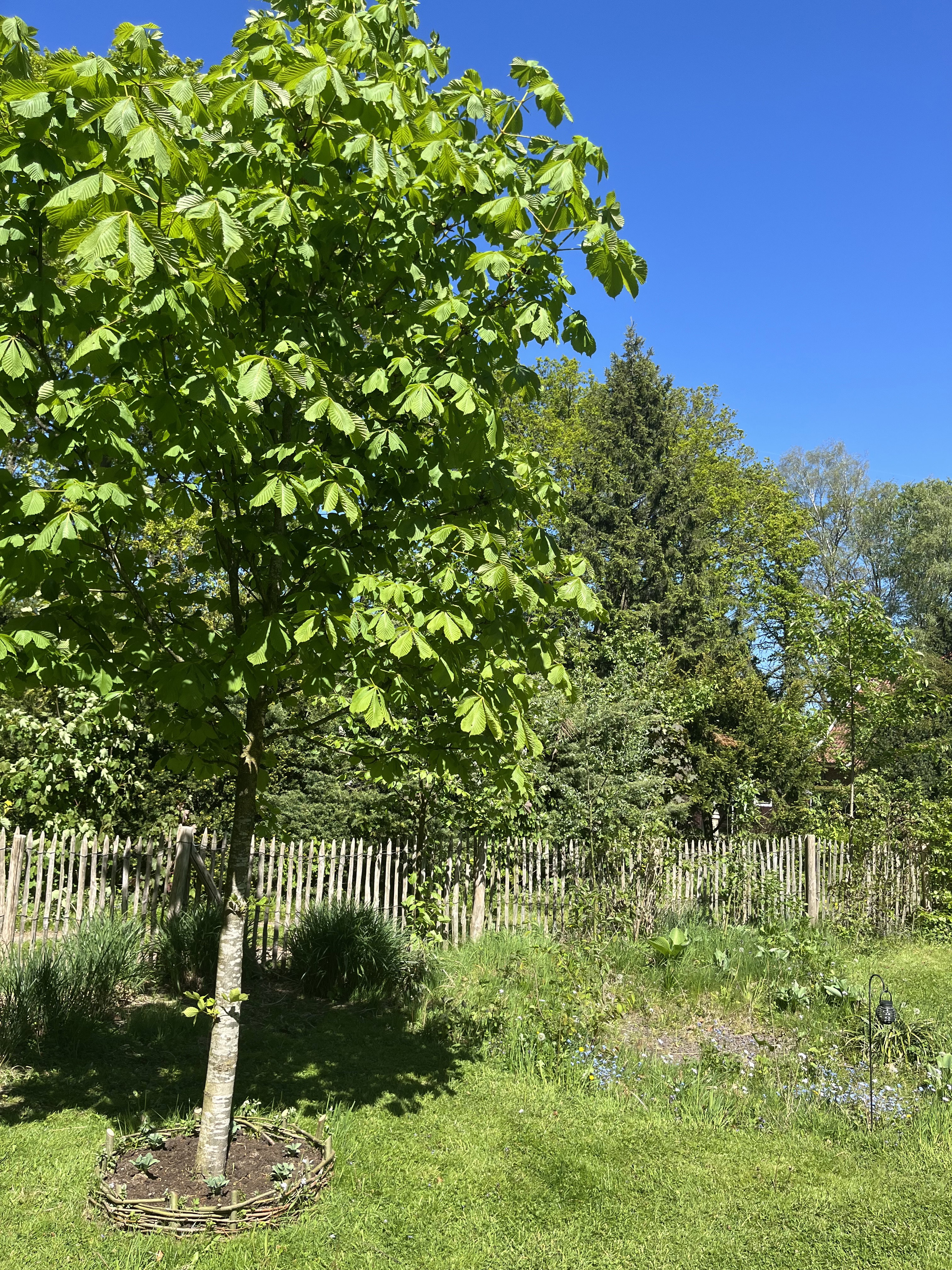 Natuurhuisje in Winterswijk Miste