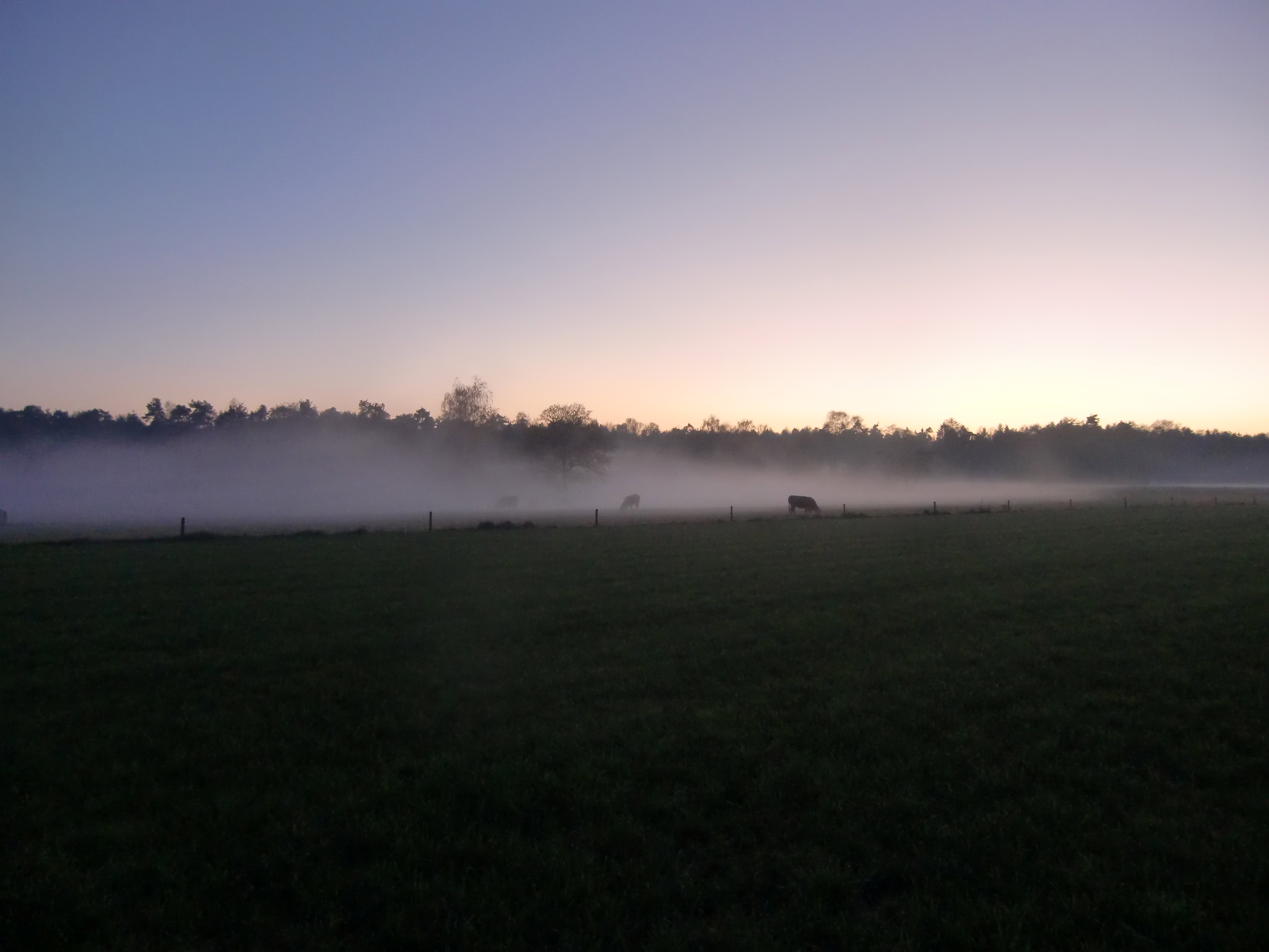 Naturhäuschen in Losser