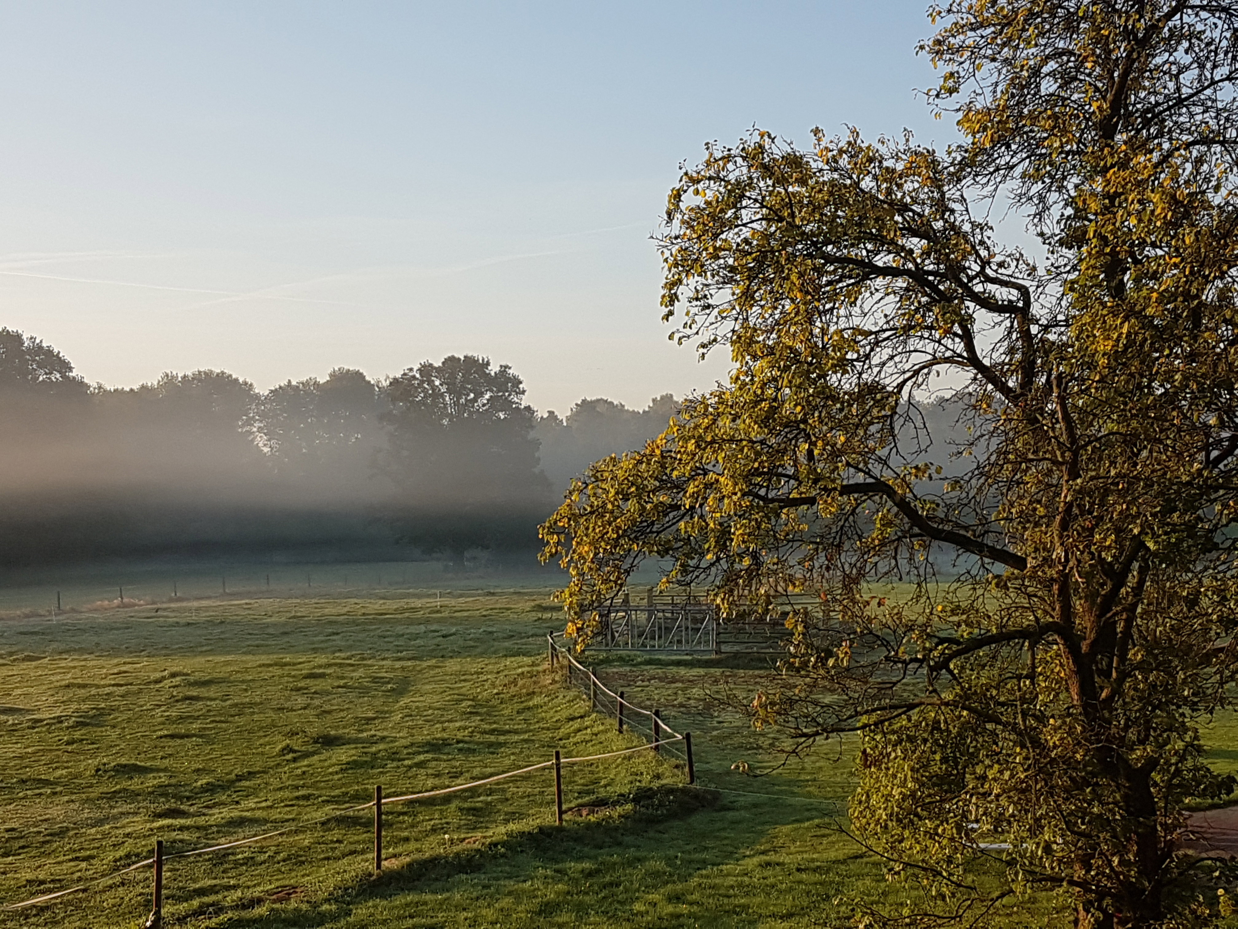 Naturhäuschen in Losser