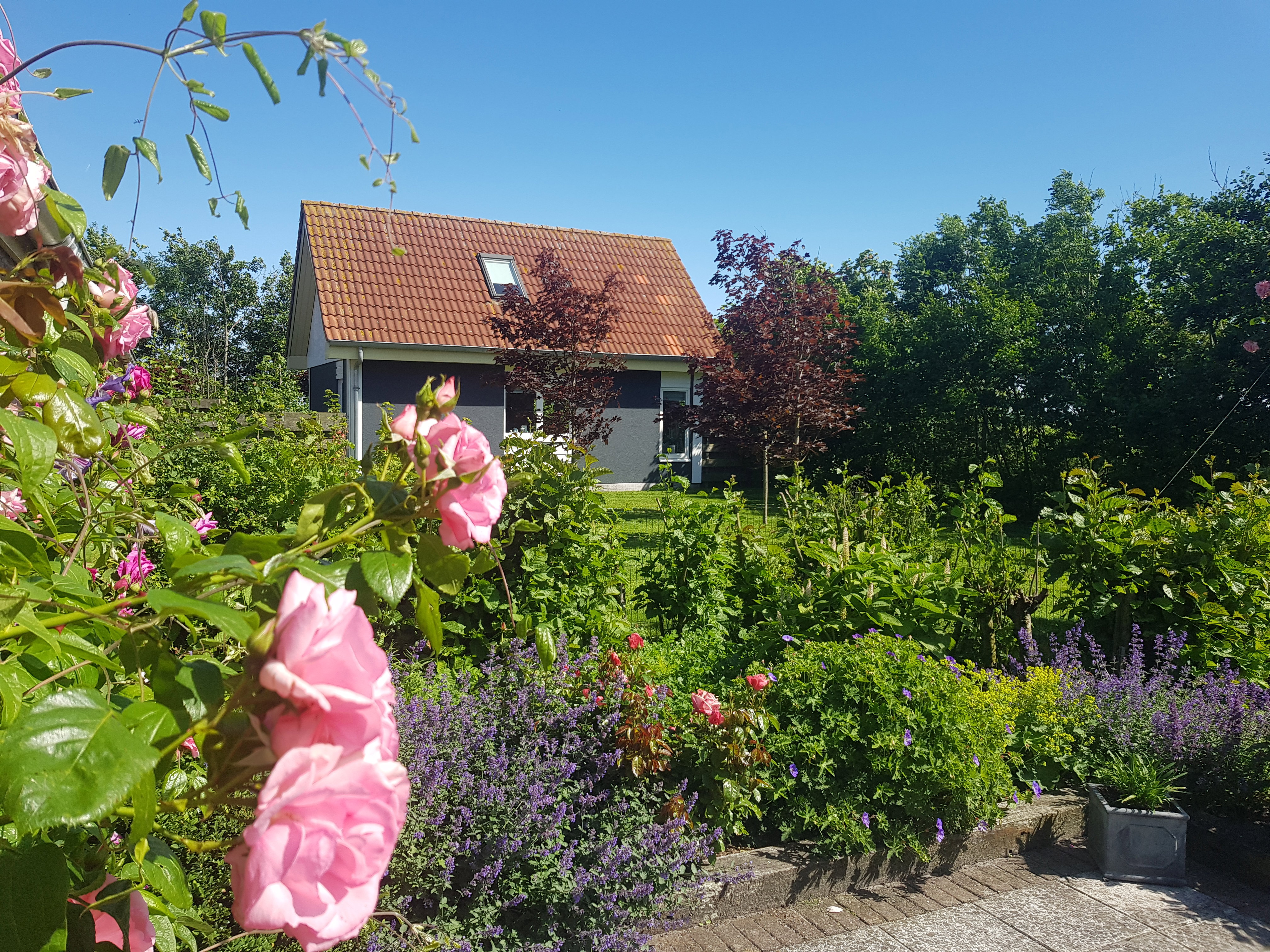 Naturhäuschen in Burgervlotbrug