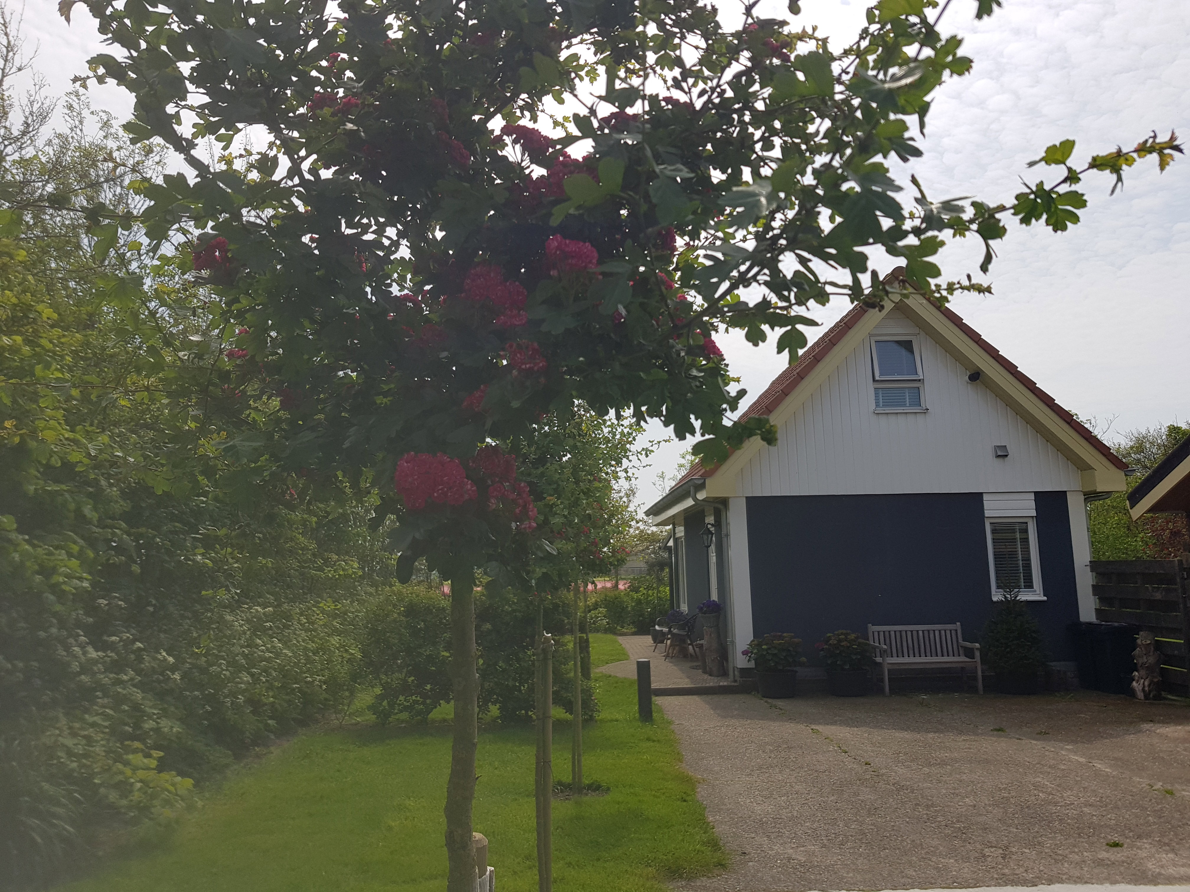 Maison nature à Burgervlotbrug