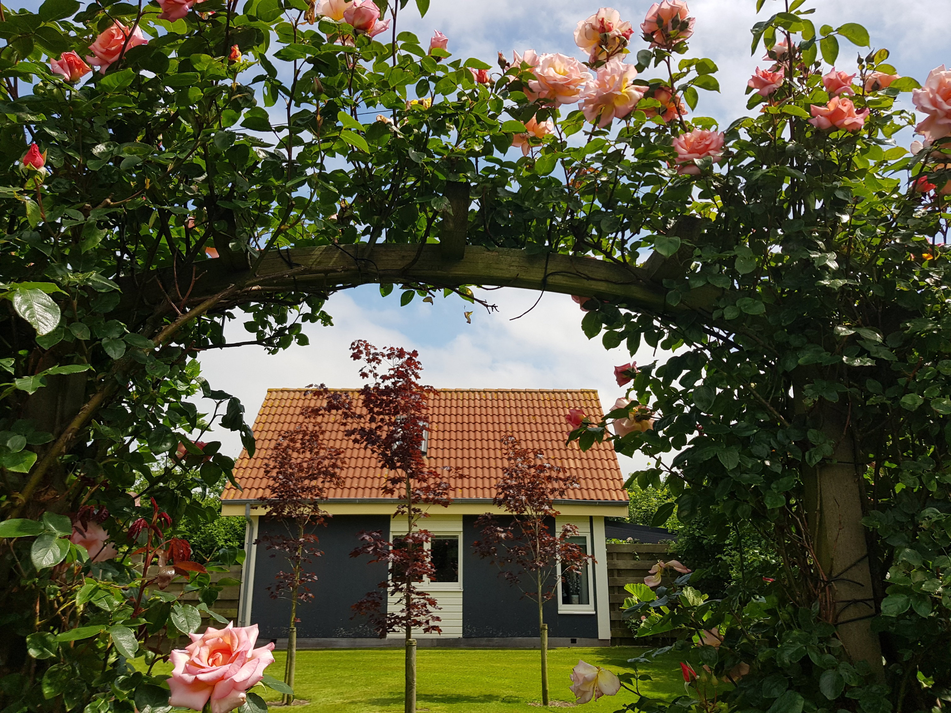 Maison nature à Burgervlotbrug