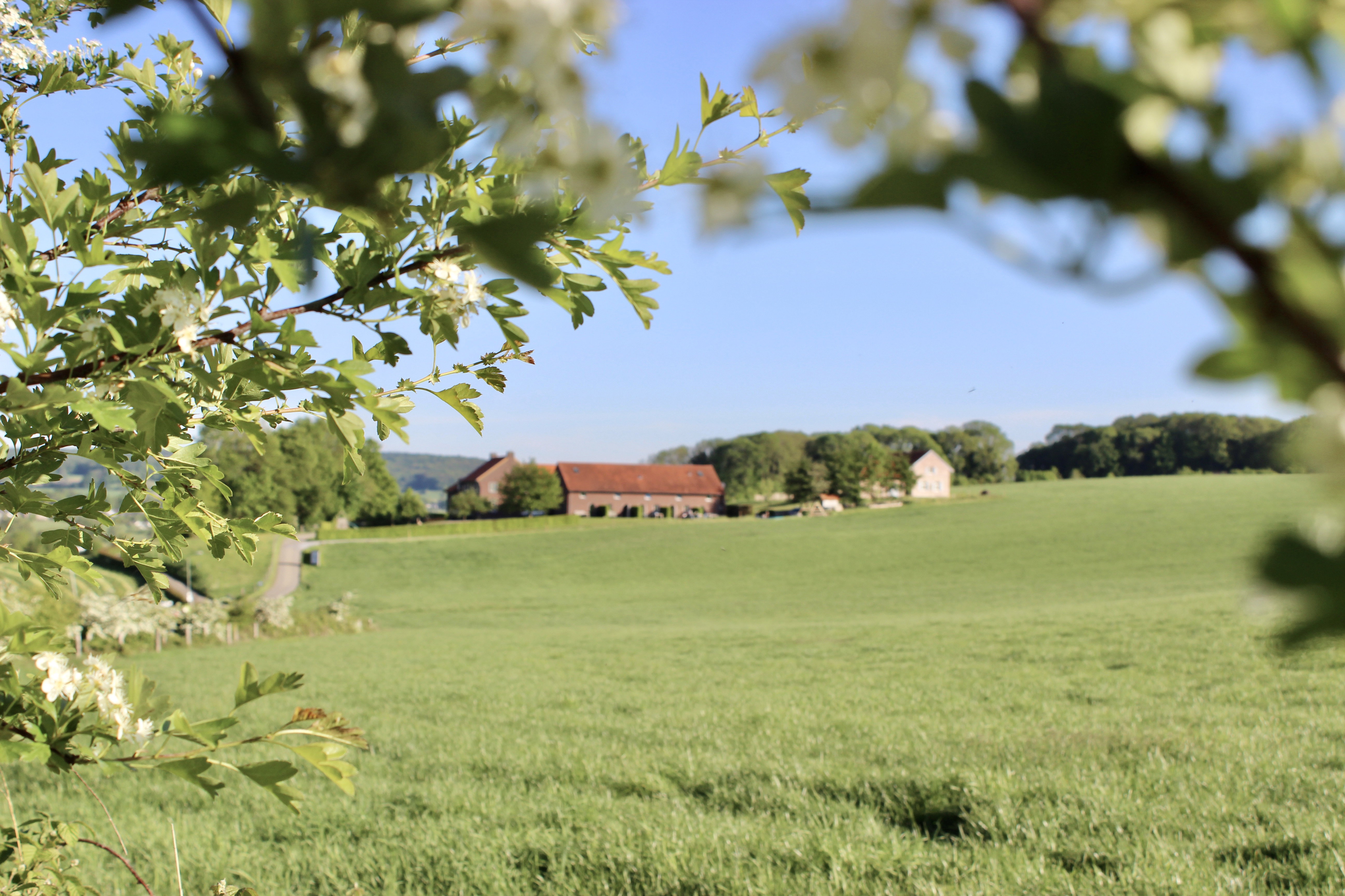 Maison nature à Gulpen