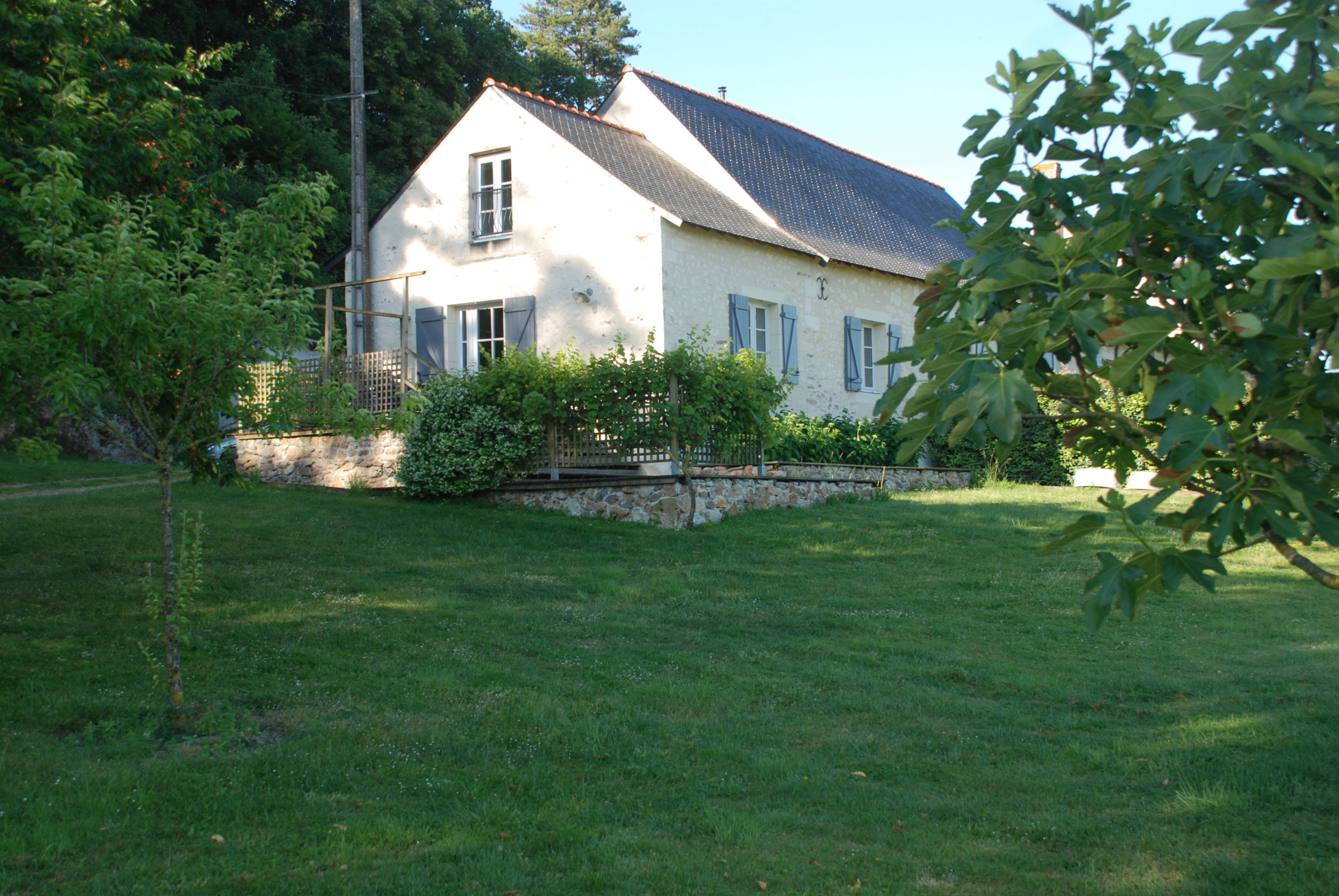 - image: 1