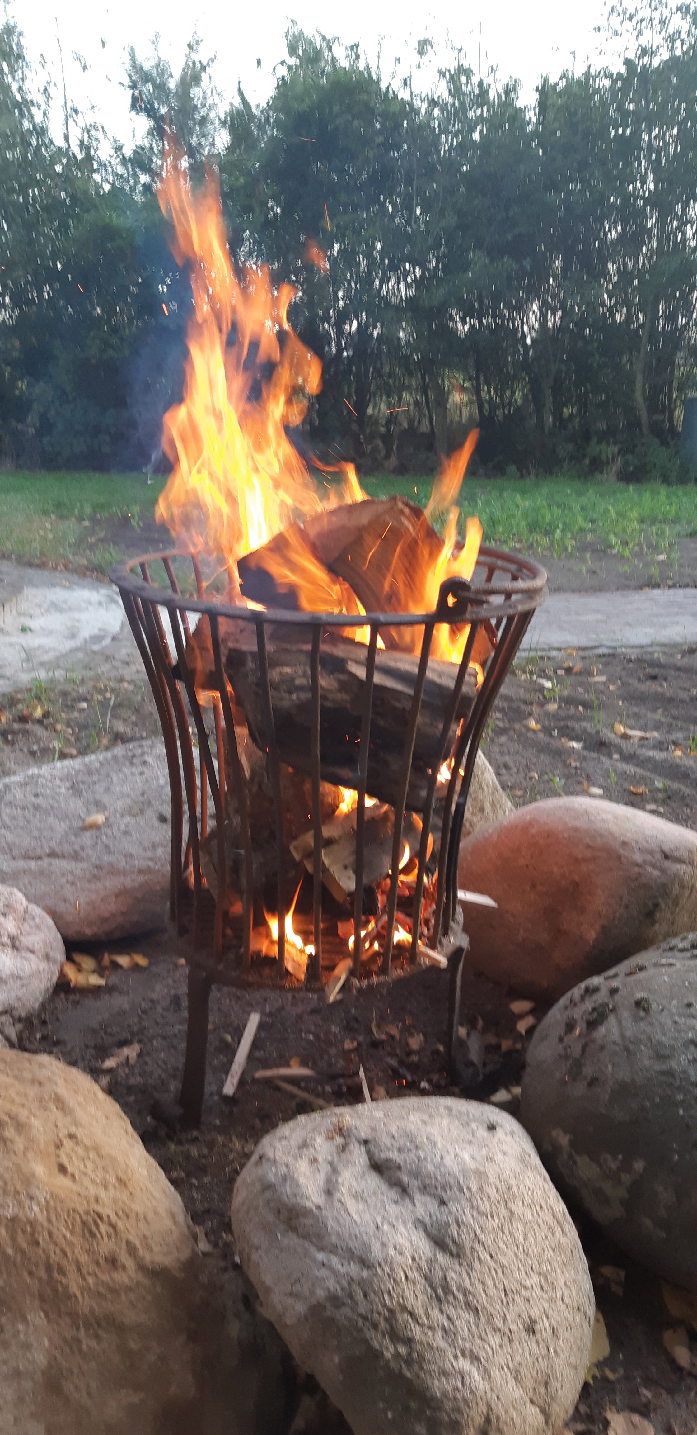 Naturhäuschen in Alteveer