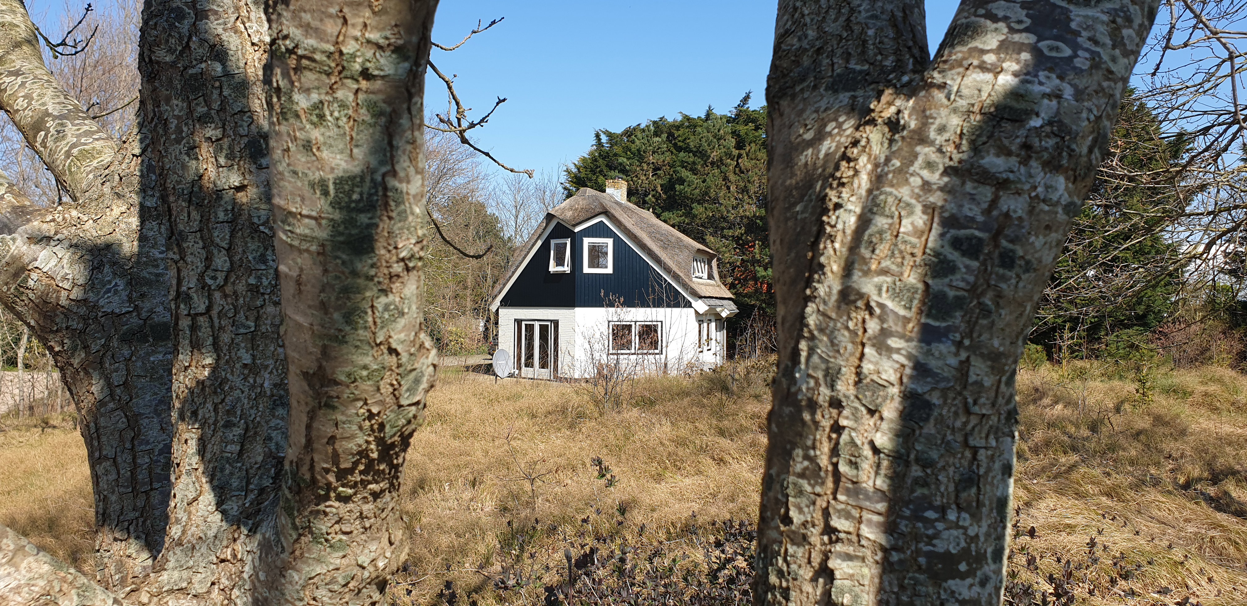 Natuurhuisje in De Cocksdorp