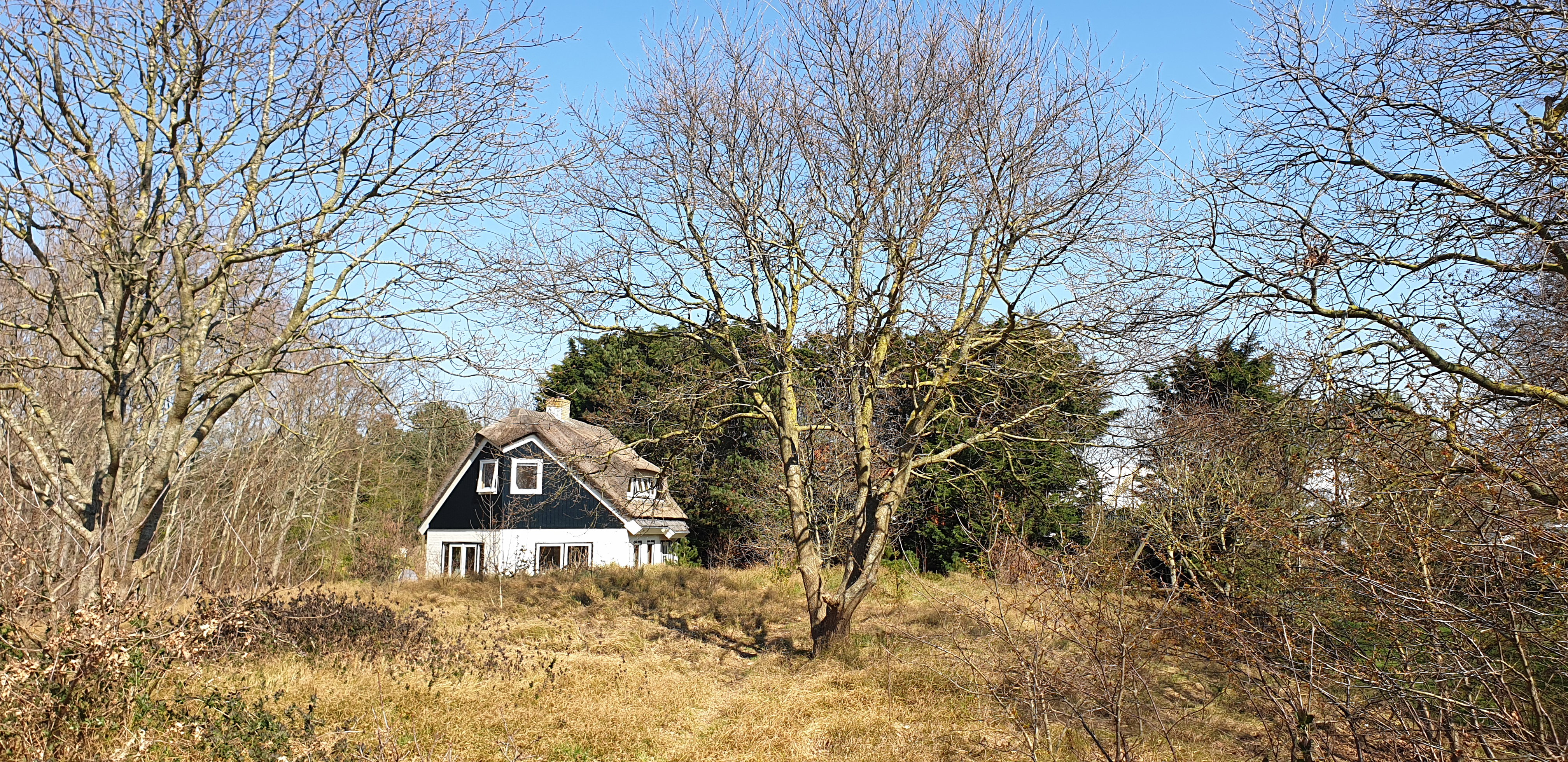 Natuurhuisje in De Cocksdorp