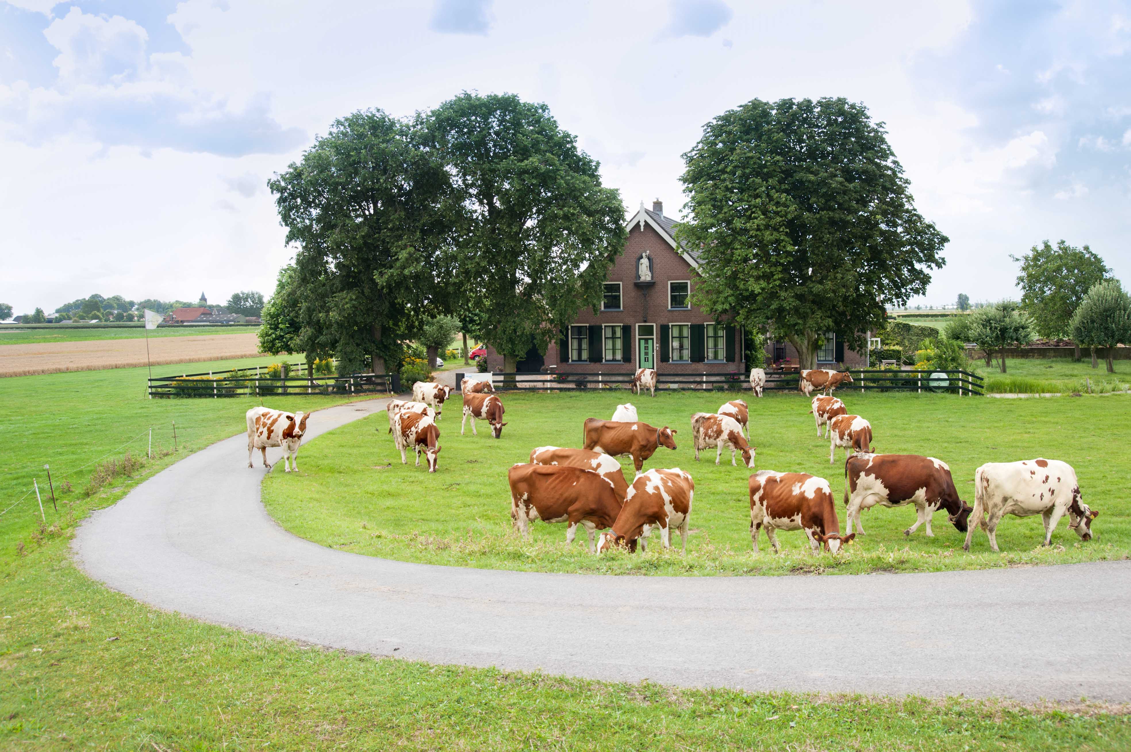 Maison nature à Nieuwveen
