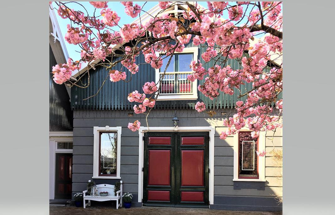 Nature house in Beets