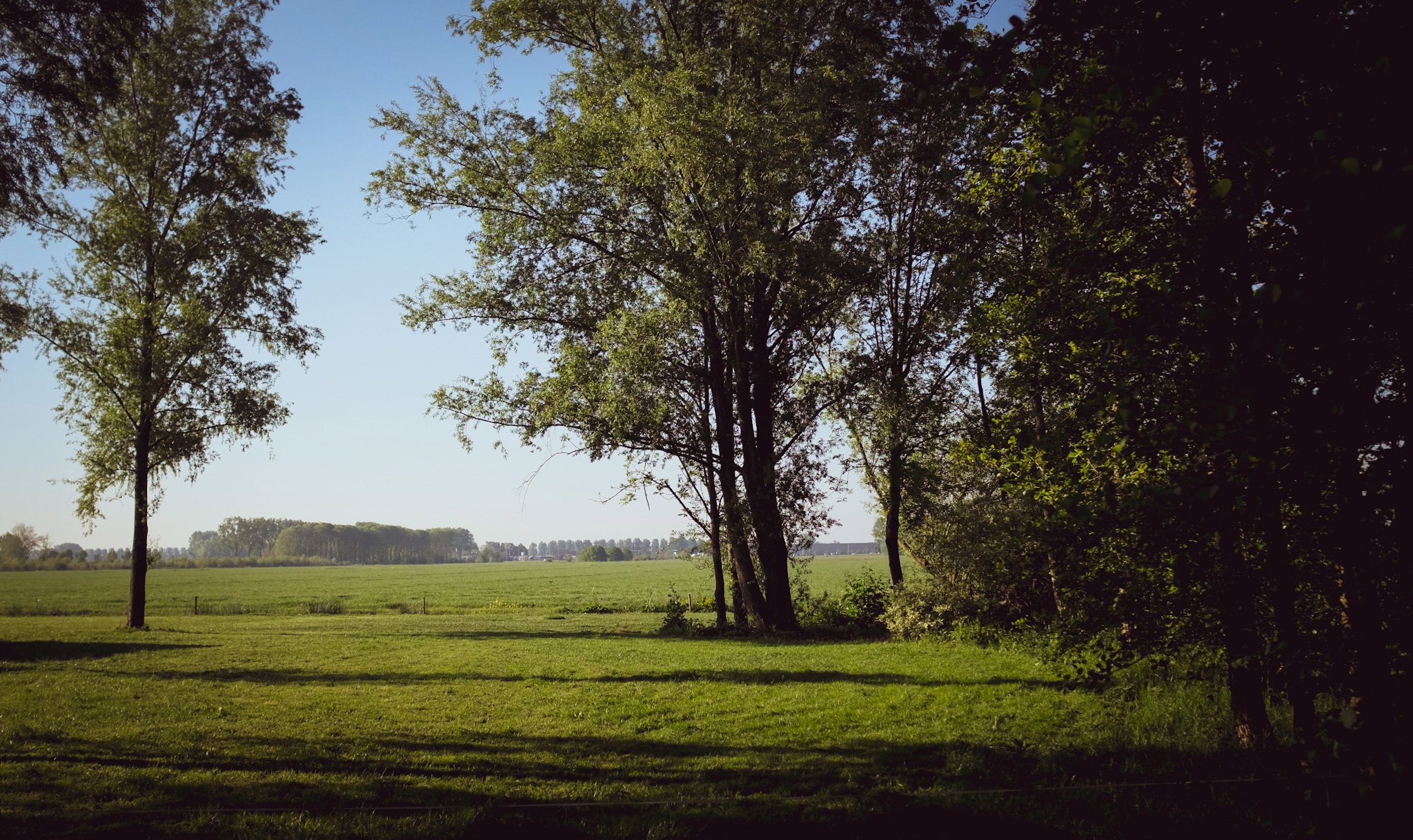 - image: 18