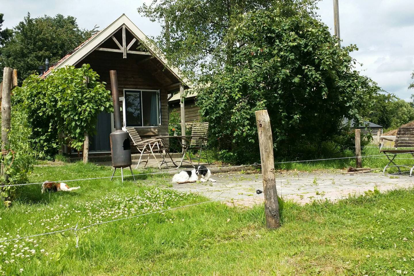 Maison nature à Sebaldeburen