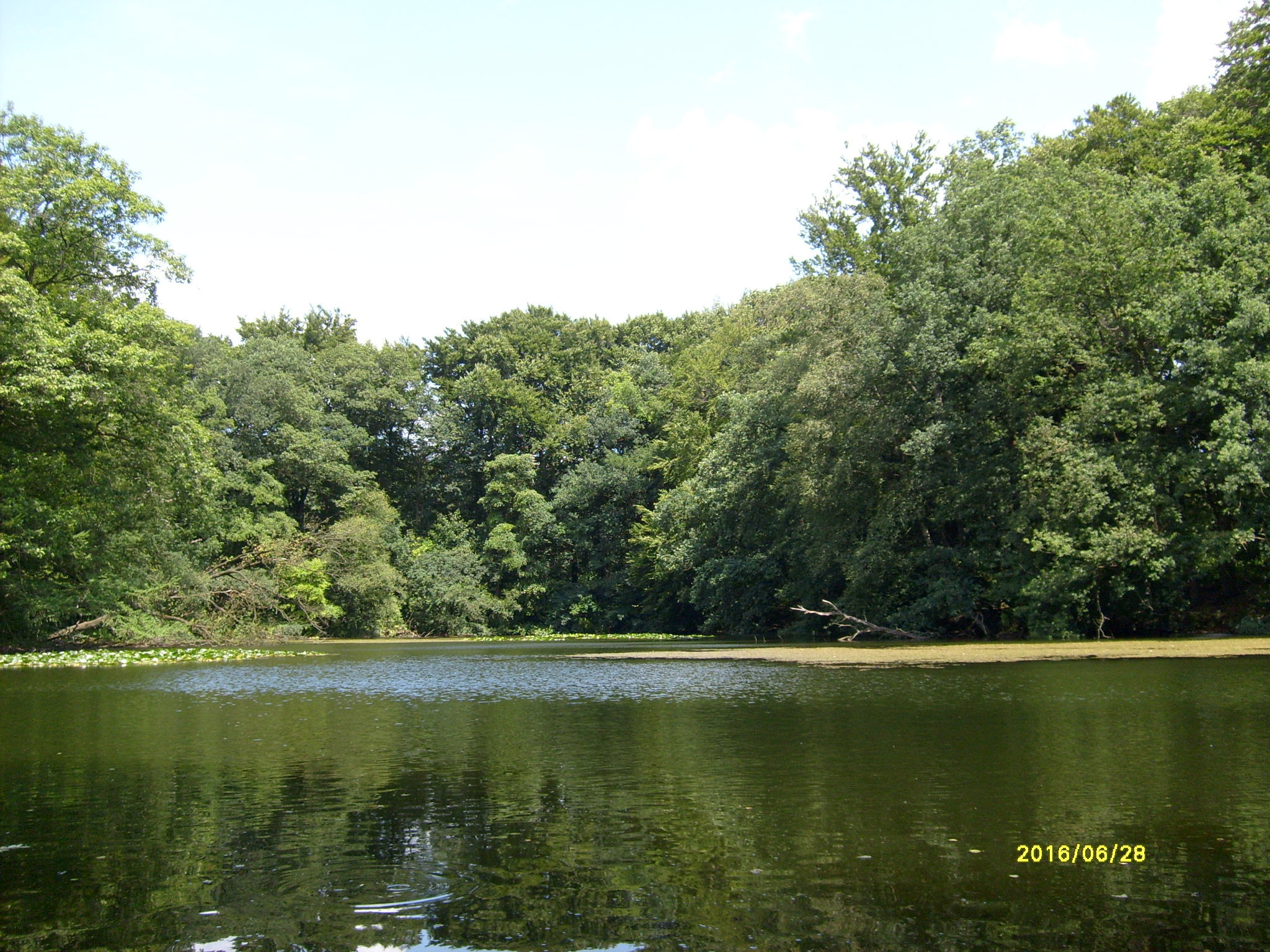 - image: 27