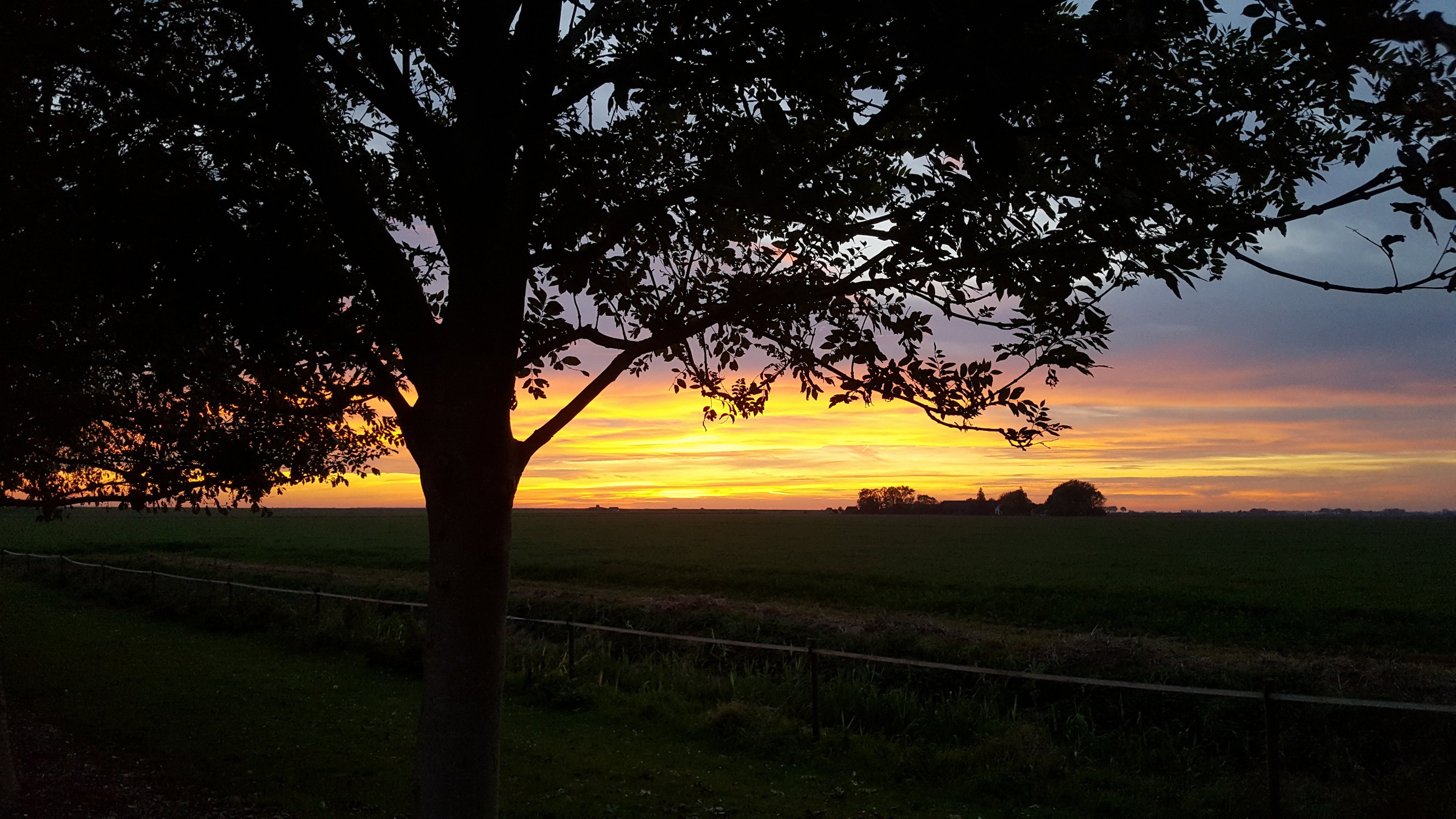 Maison nature à Zuidland