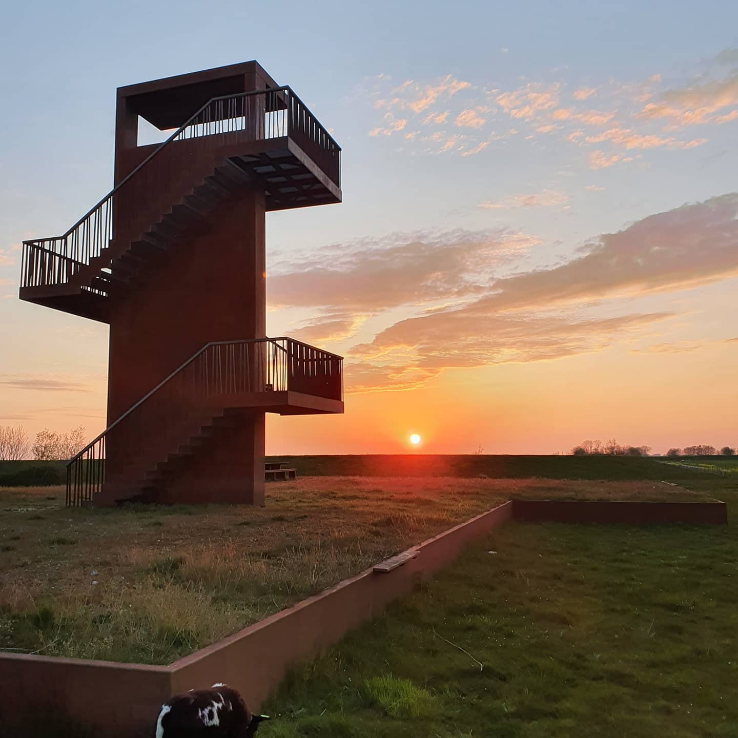 Maison nature à Zuidland