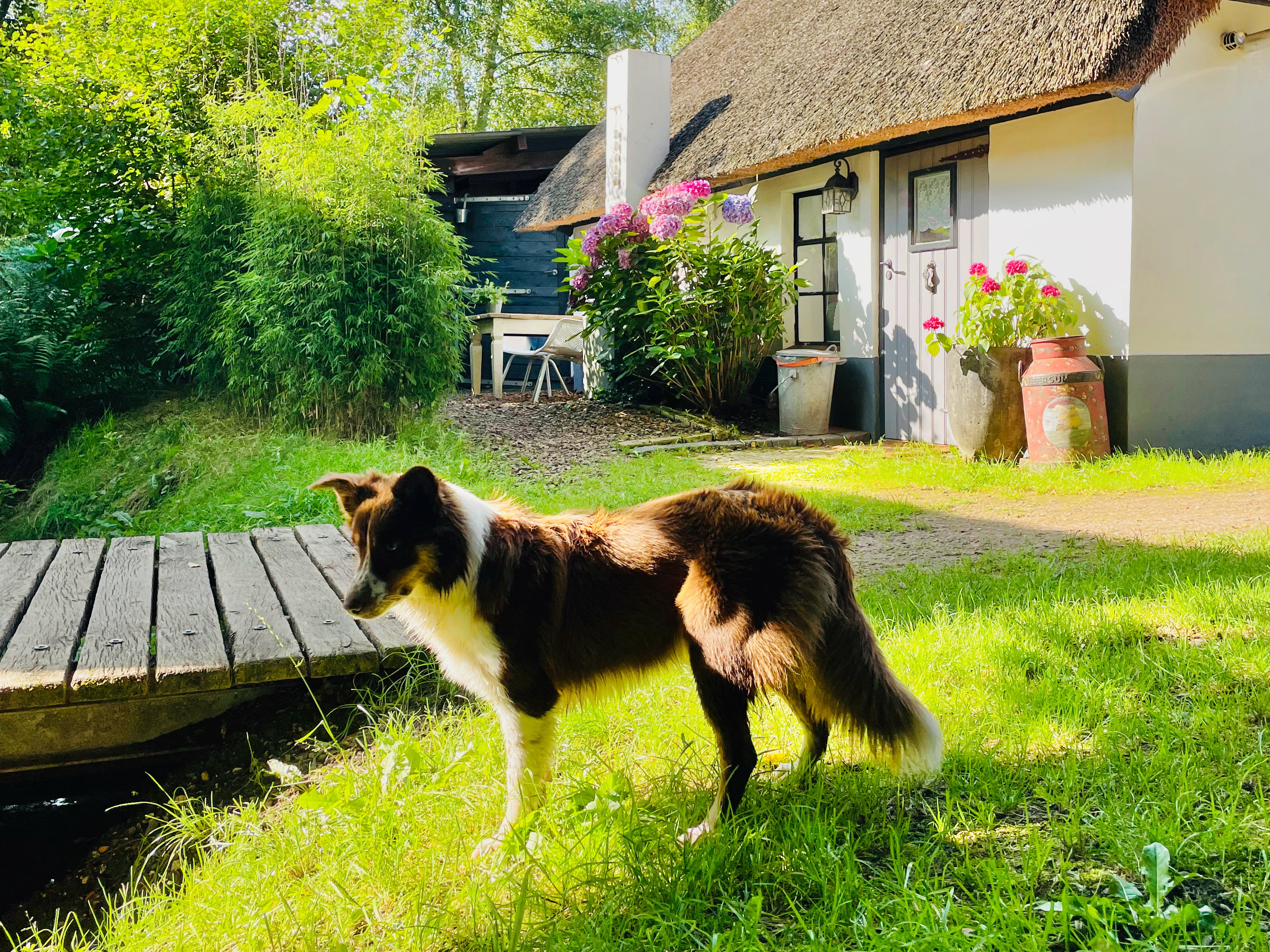 Naturhäuschen in Heerde
