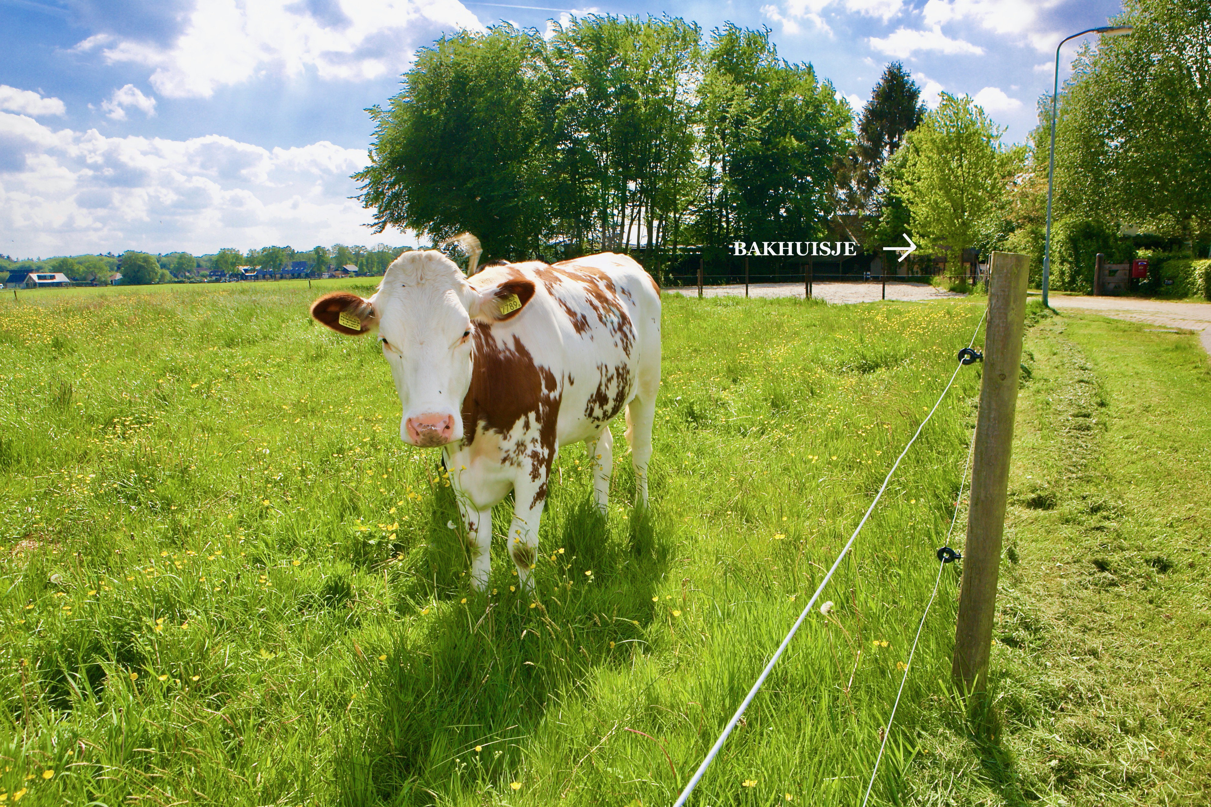 Naturhäuschen in Heerde