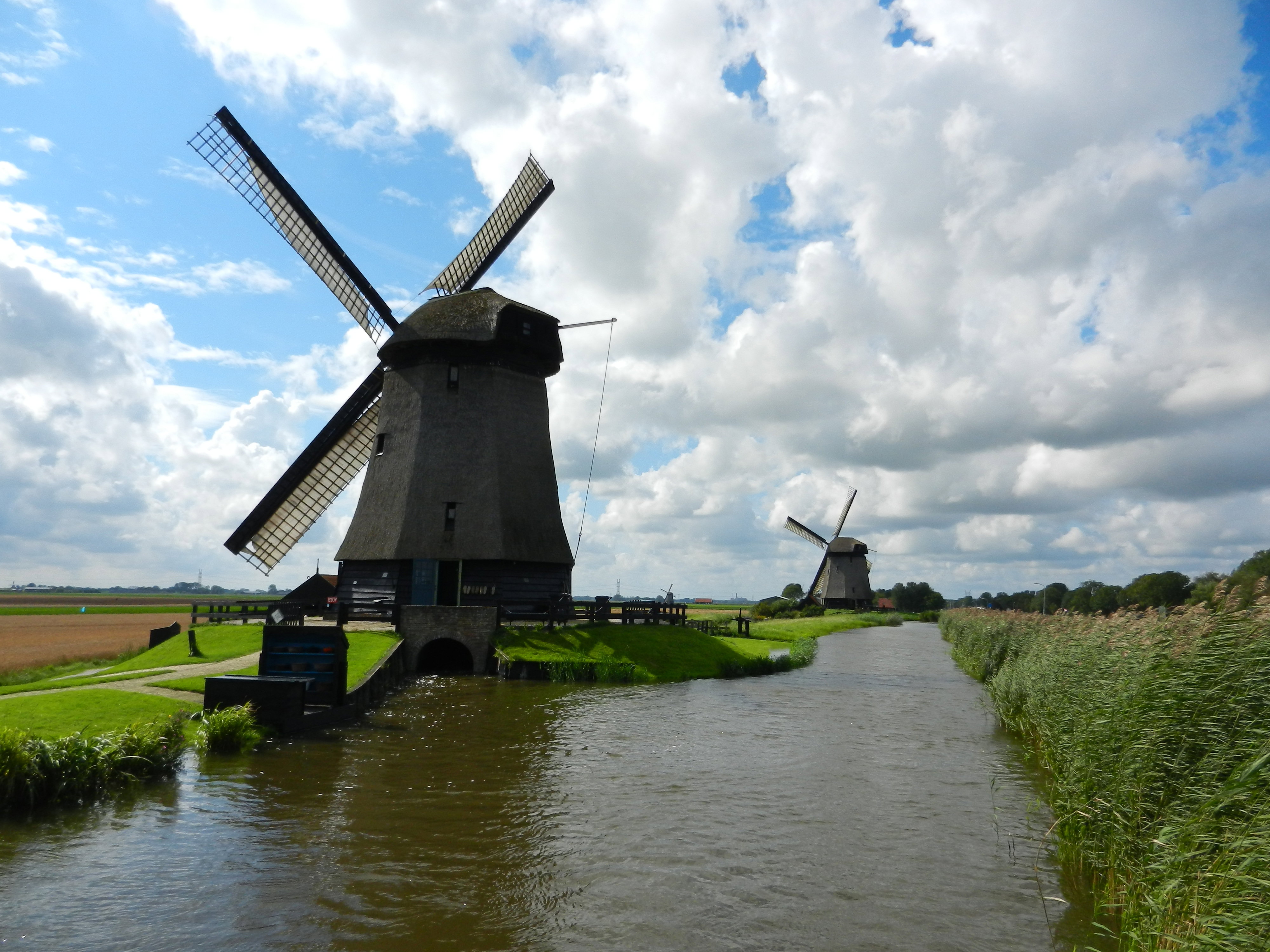 - image: 81