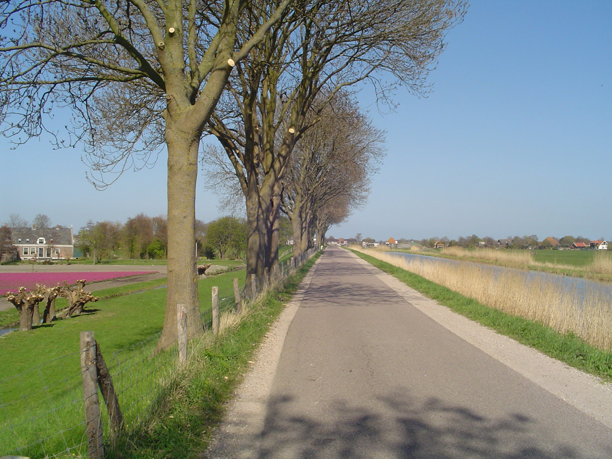 - image: 67