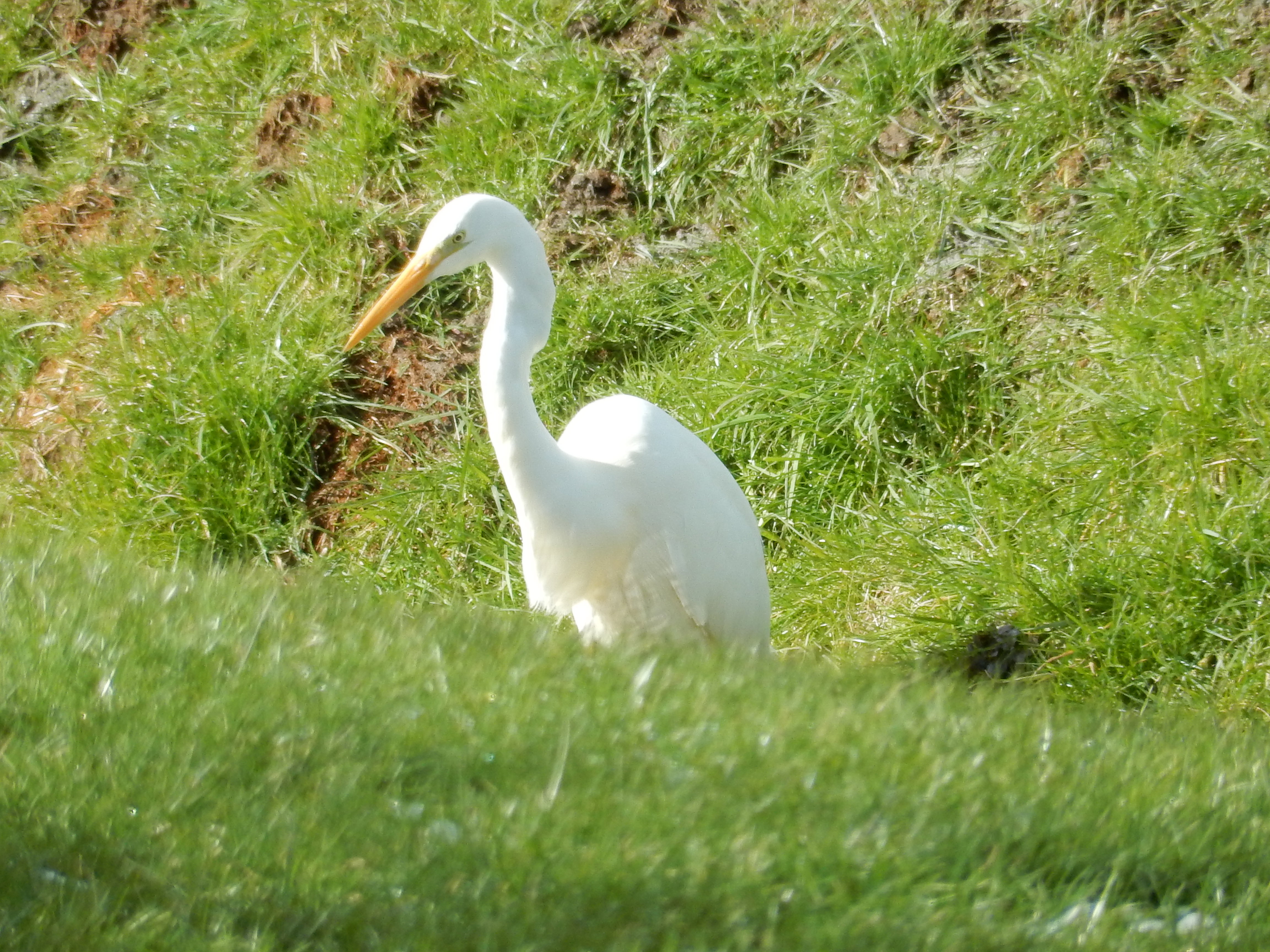 - image: 112
