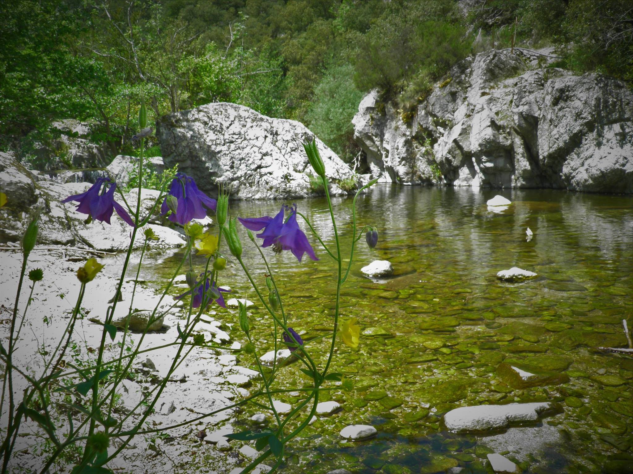 - image: 13