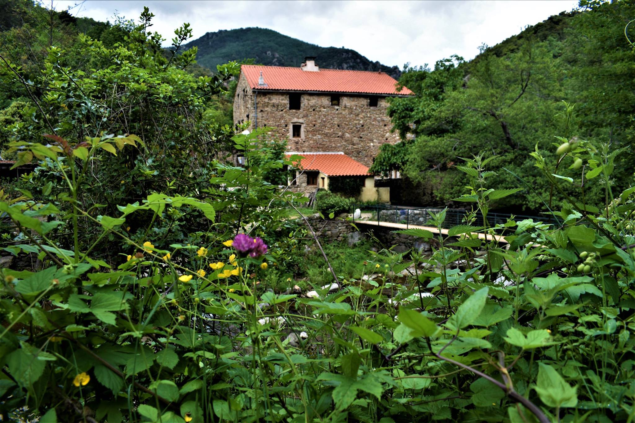 Maison nature à Amélie les bains
