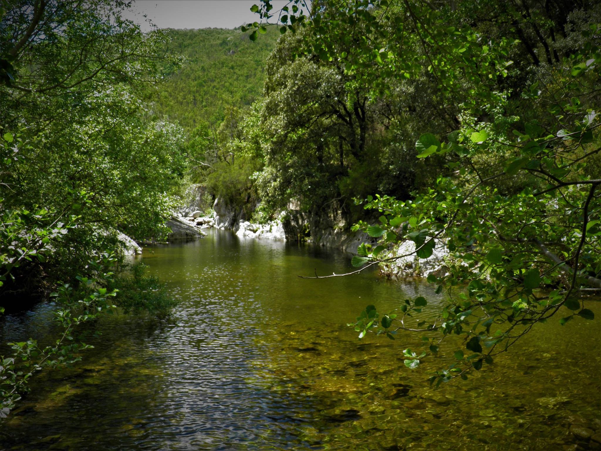 - image: 12