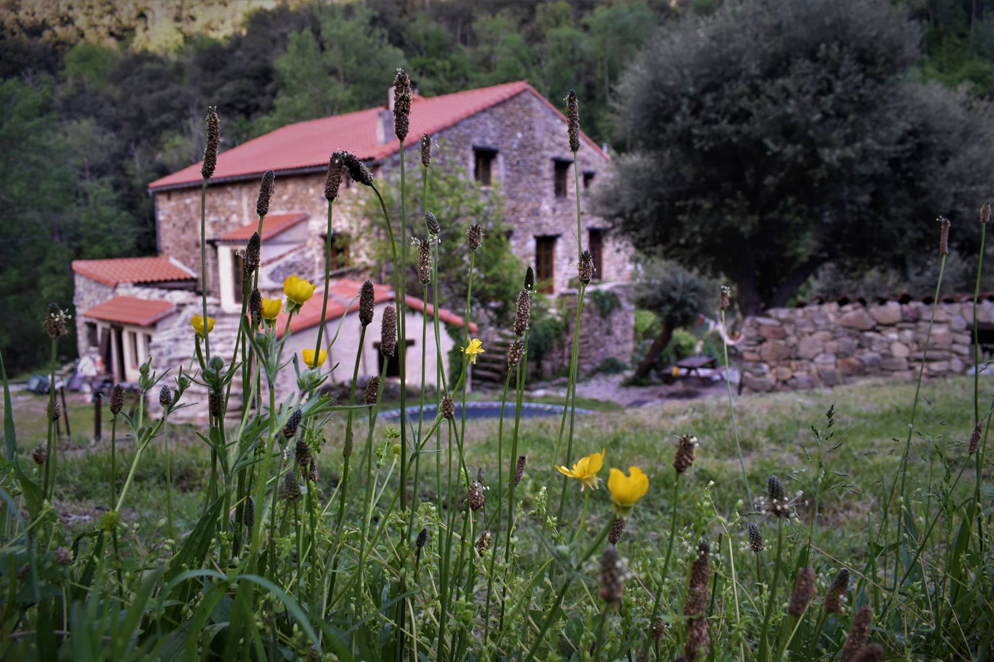 Maison nature à Amélie les bains
