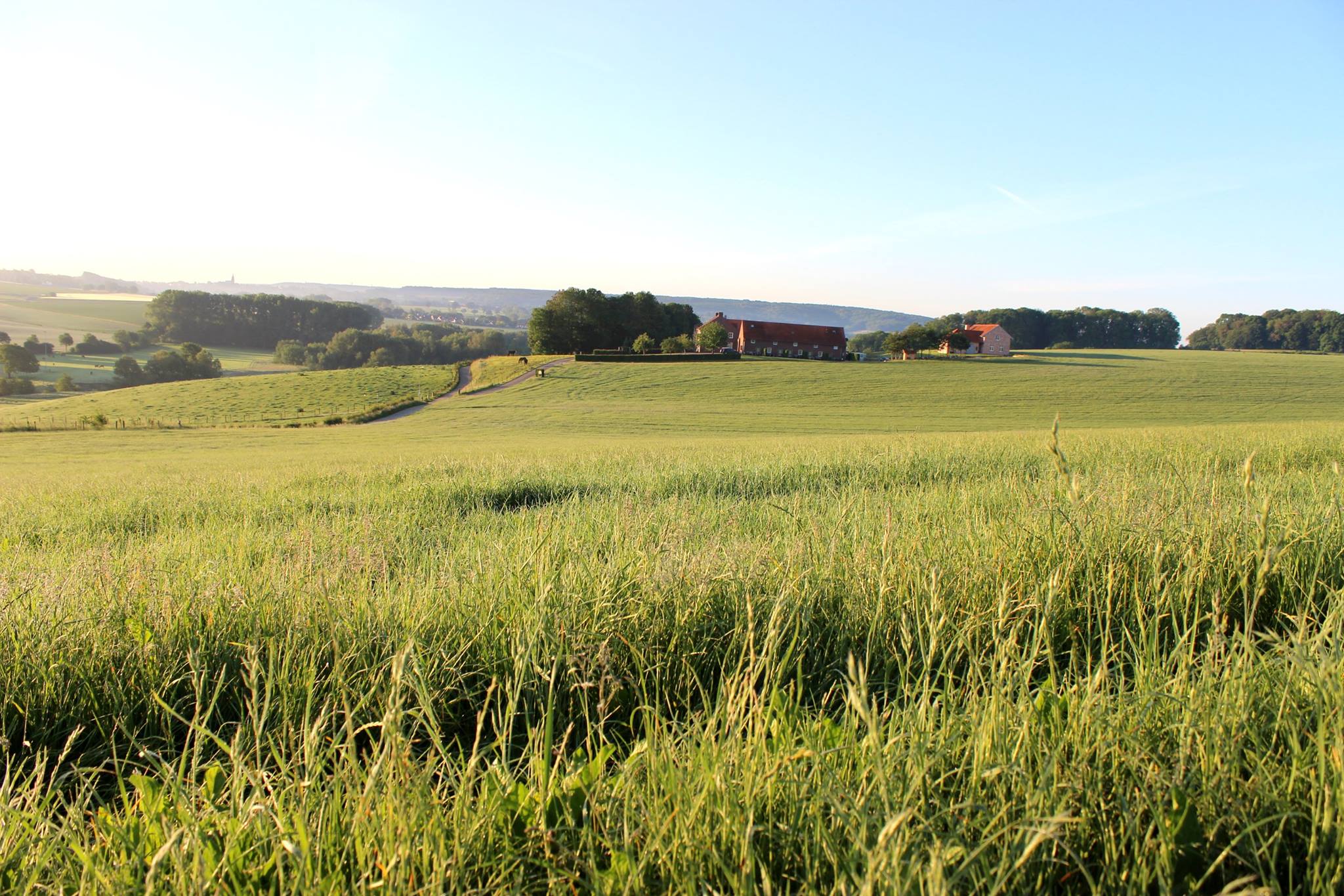 Maison nature à Gulpen