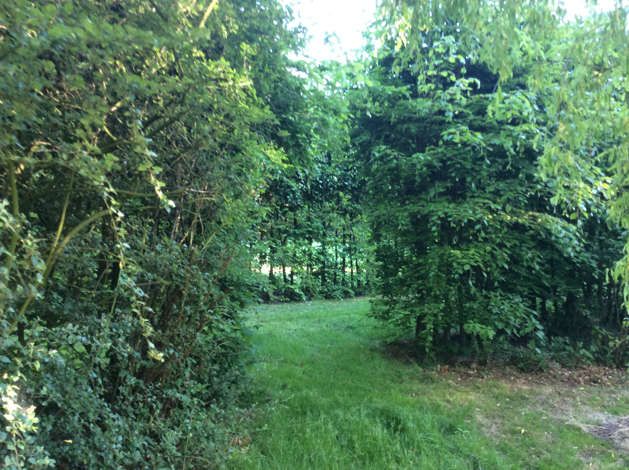 Naturhäuschen in Noordwolde
