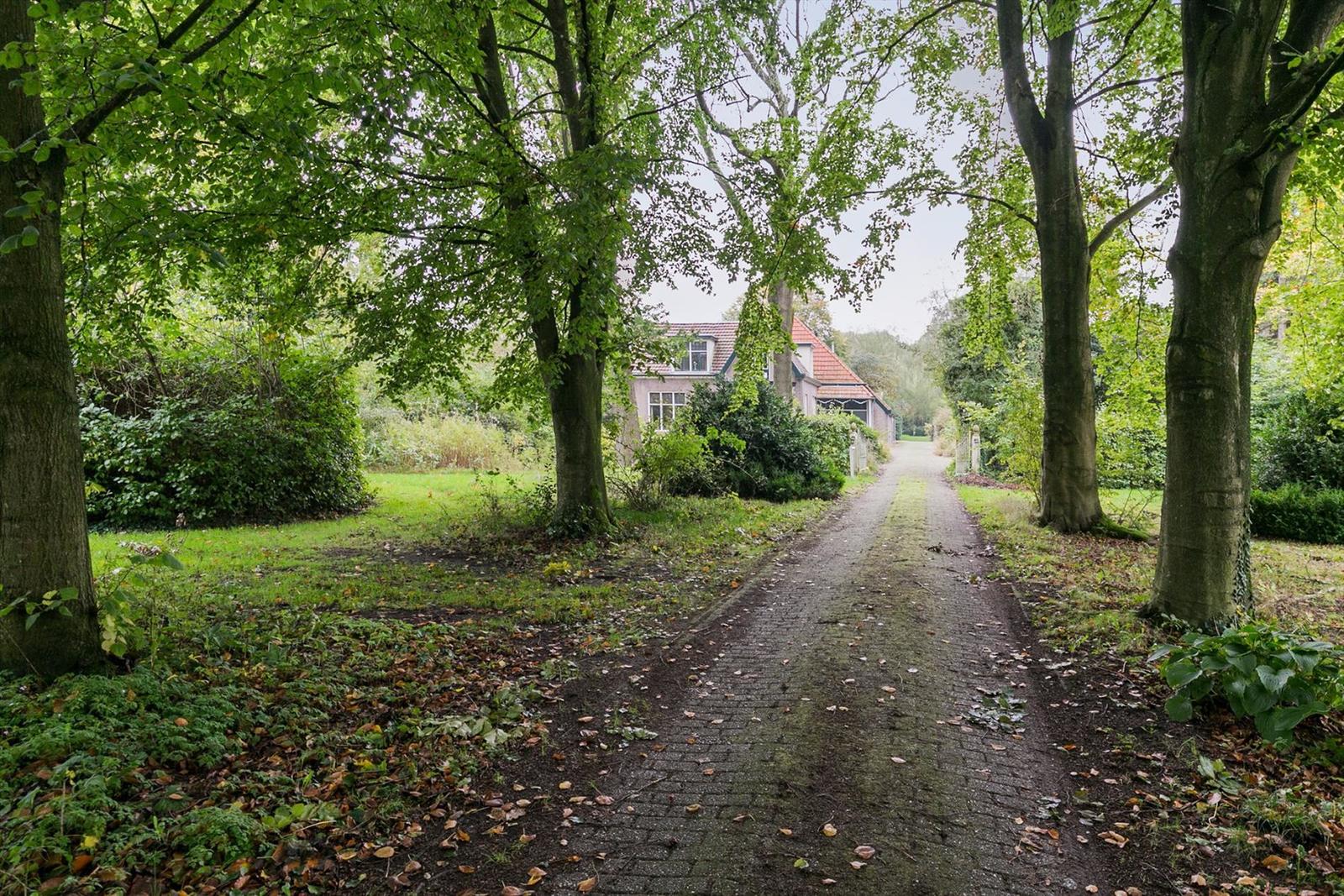Naturhäuschen in Noordwolde