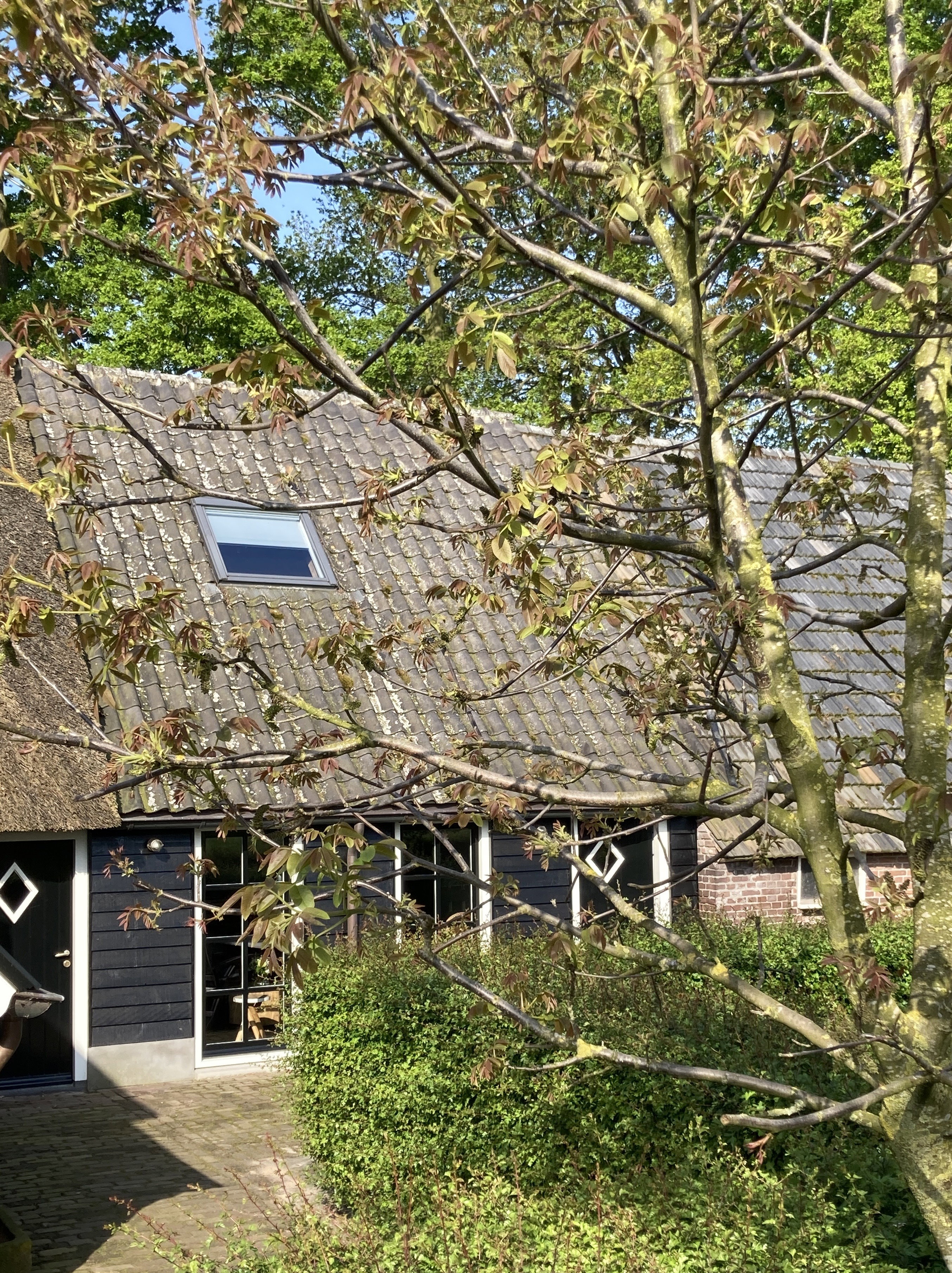 Natuurhuisje in Hellendoorn