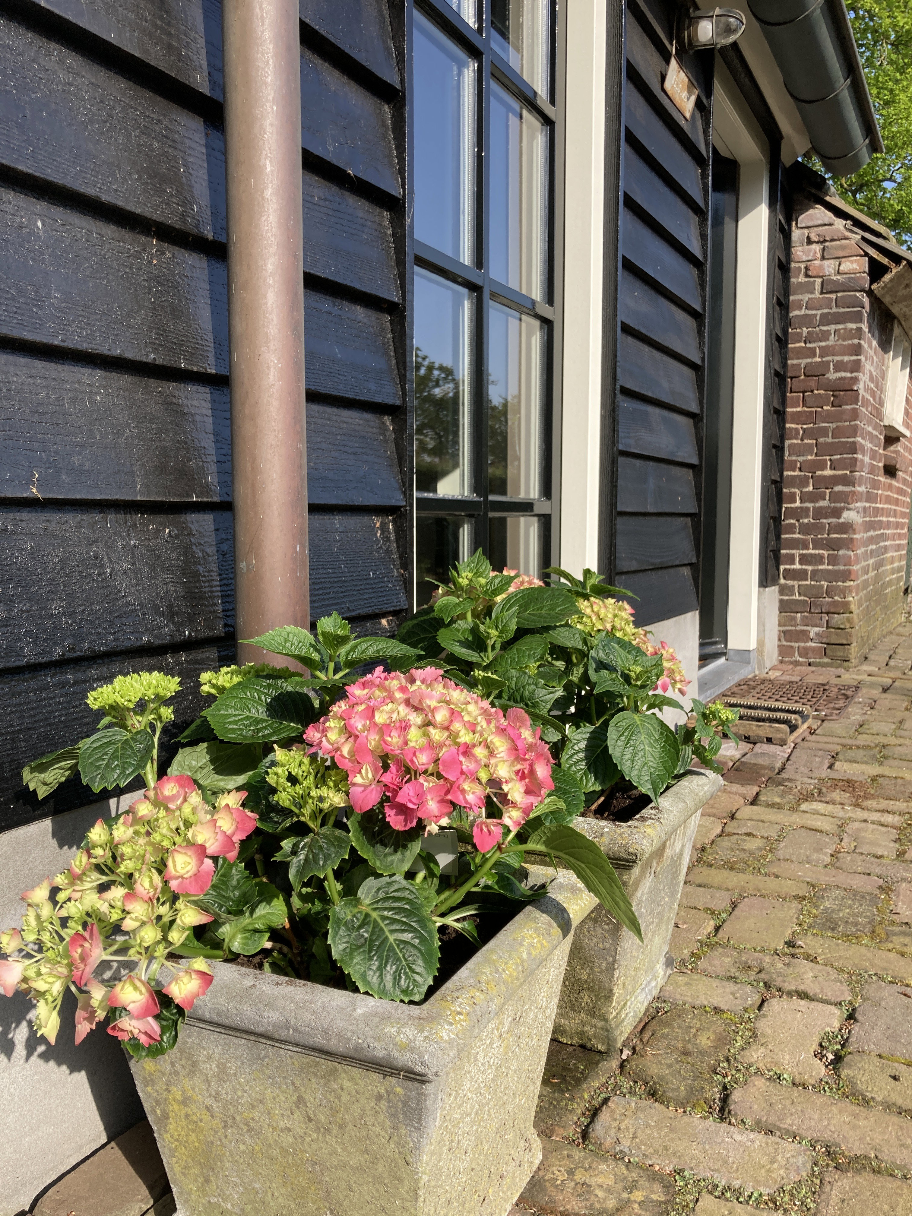 Natuurhuisje in Hellendoorn