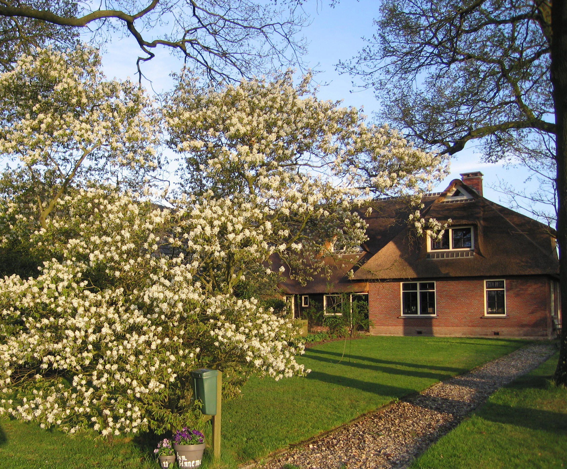 Maison nature à Hellendoorn