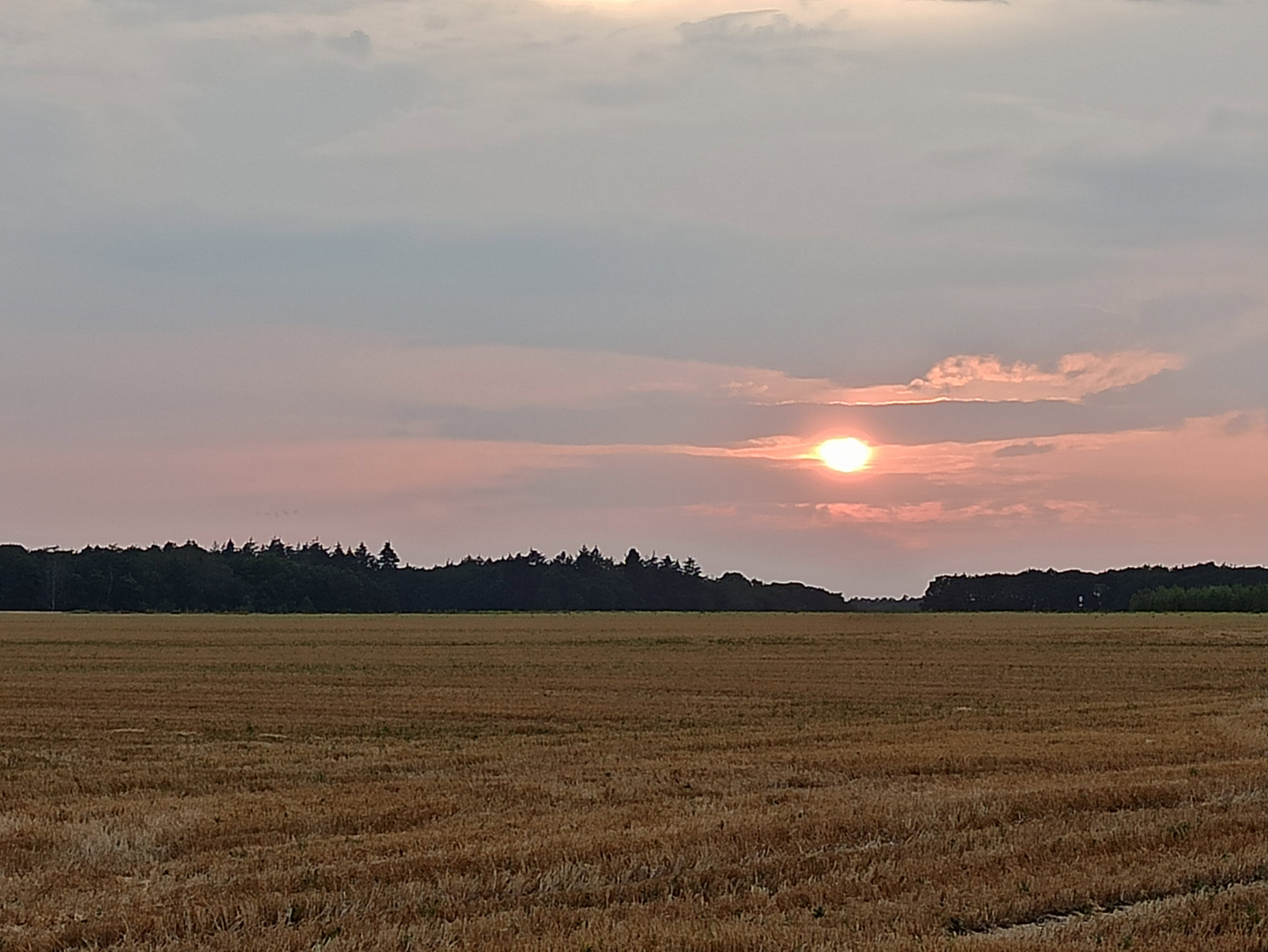 - image: 27