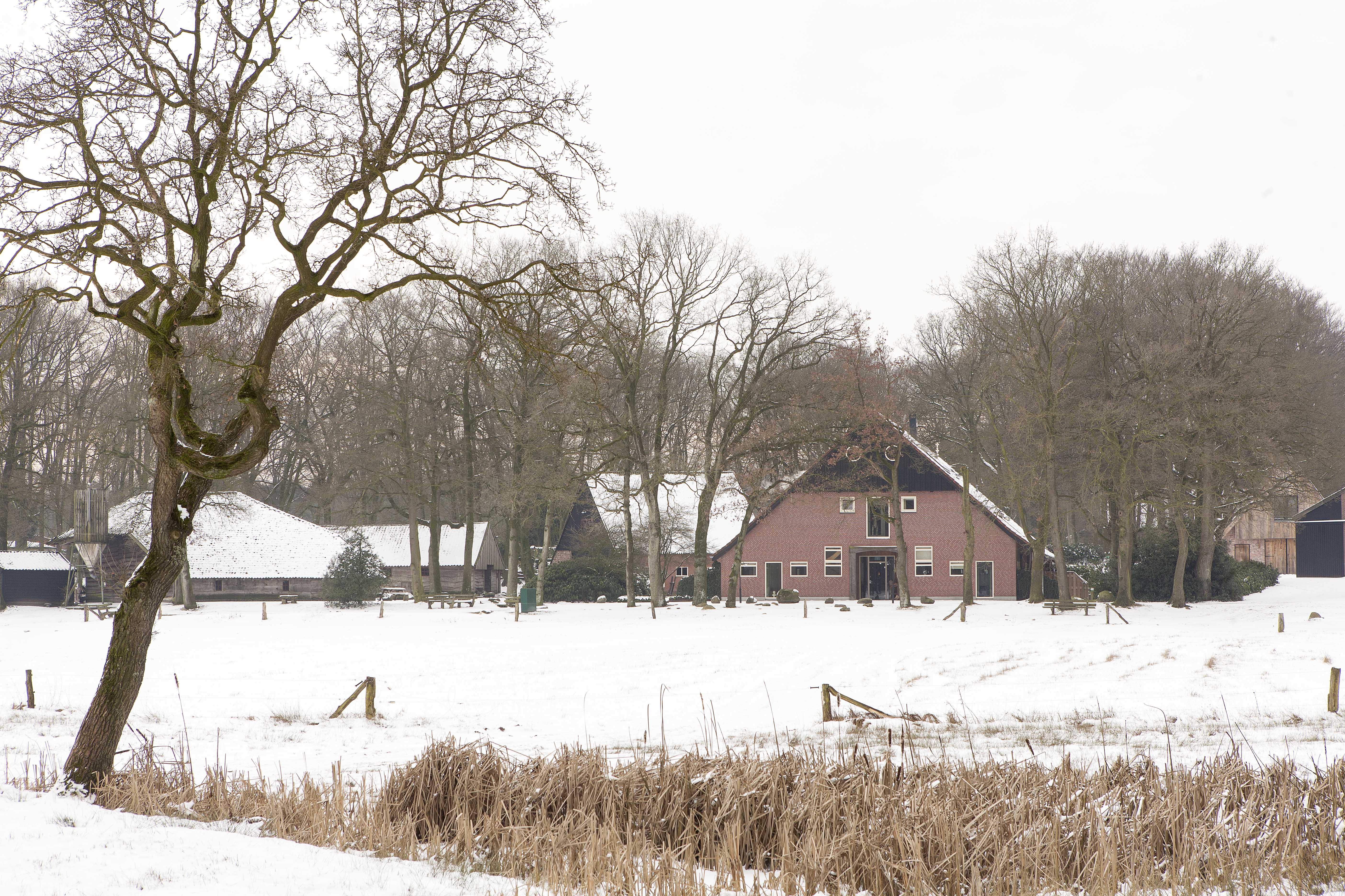 Maison nature à Hezingen