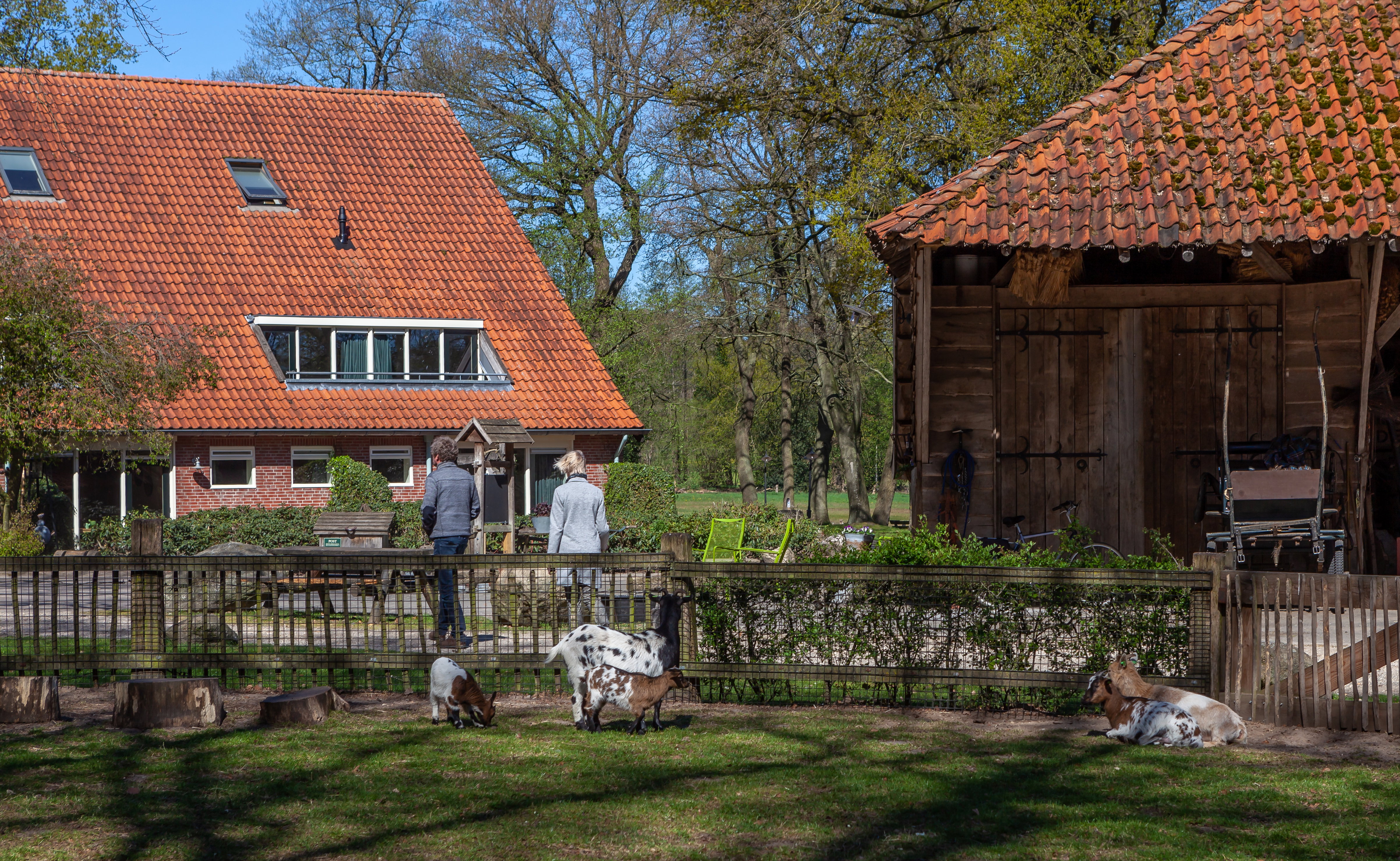 Maison nature à Hezingen