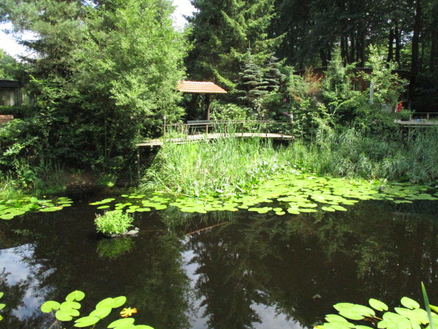 - image: 27
