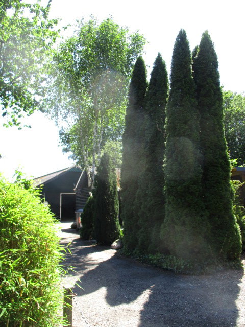 - image: 19