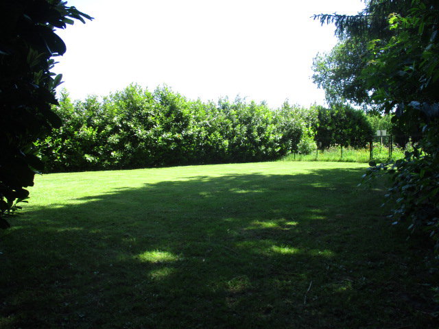 - image: 23