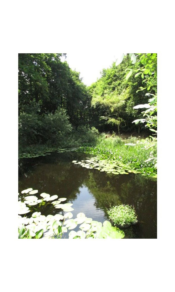 - image: 21